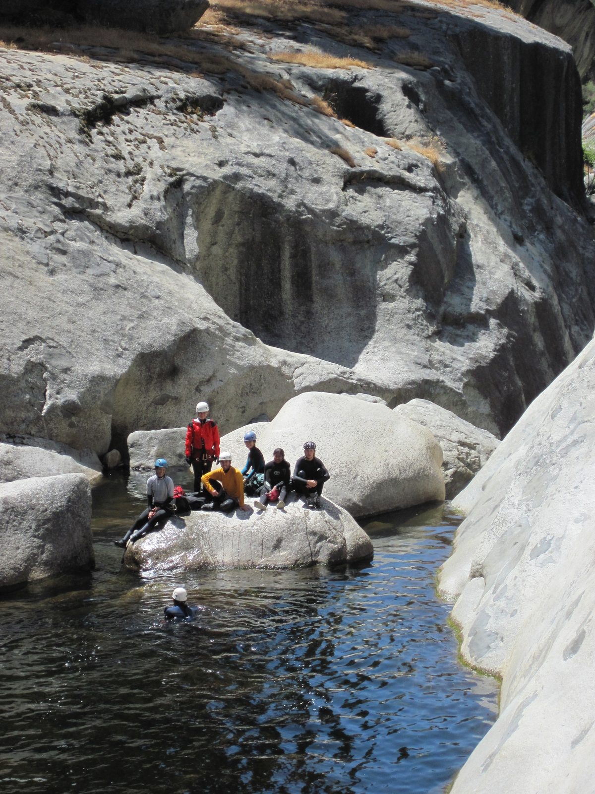Tracy, Jill, Eliah, Monica, Aditi, Julia and Colin (swimming).
