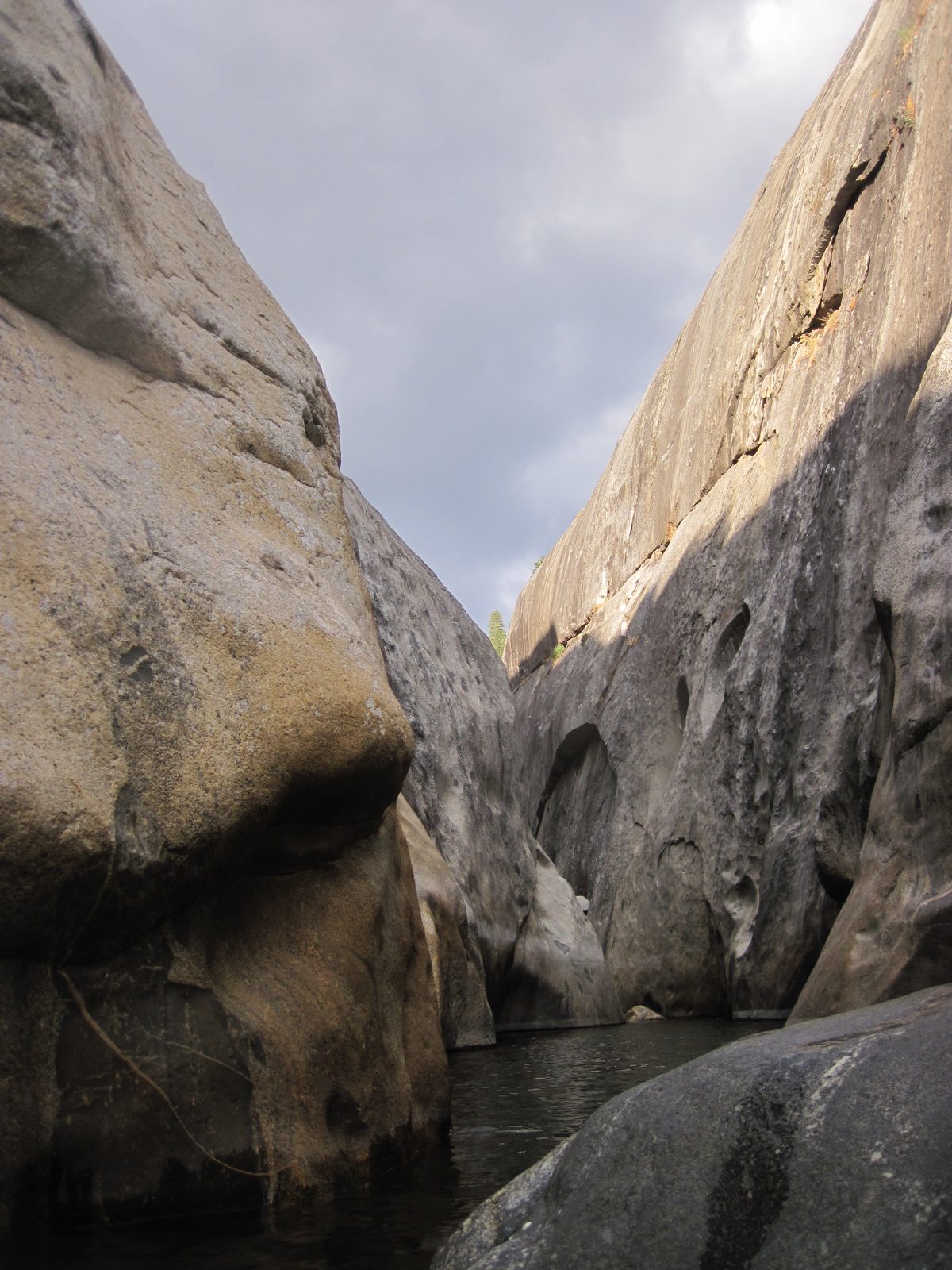 Golden hour of photography in Upper North Fork of the King's River. This felt very surreal to...