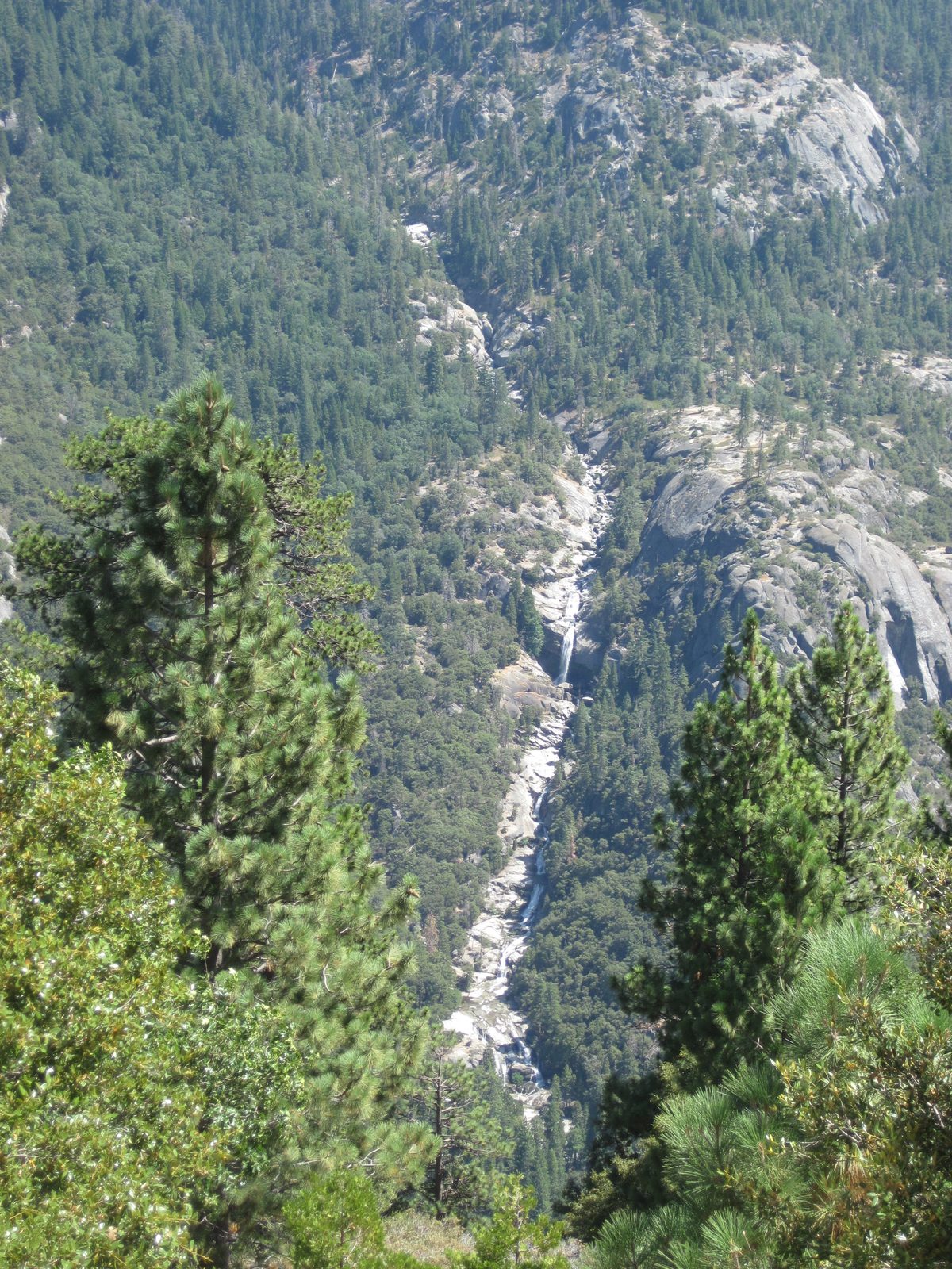 On the drive out, we spotted a river farther up on the North Fork of the King's that we would...