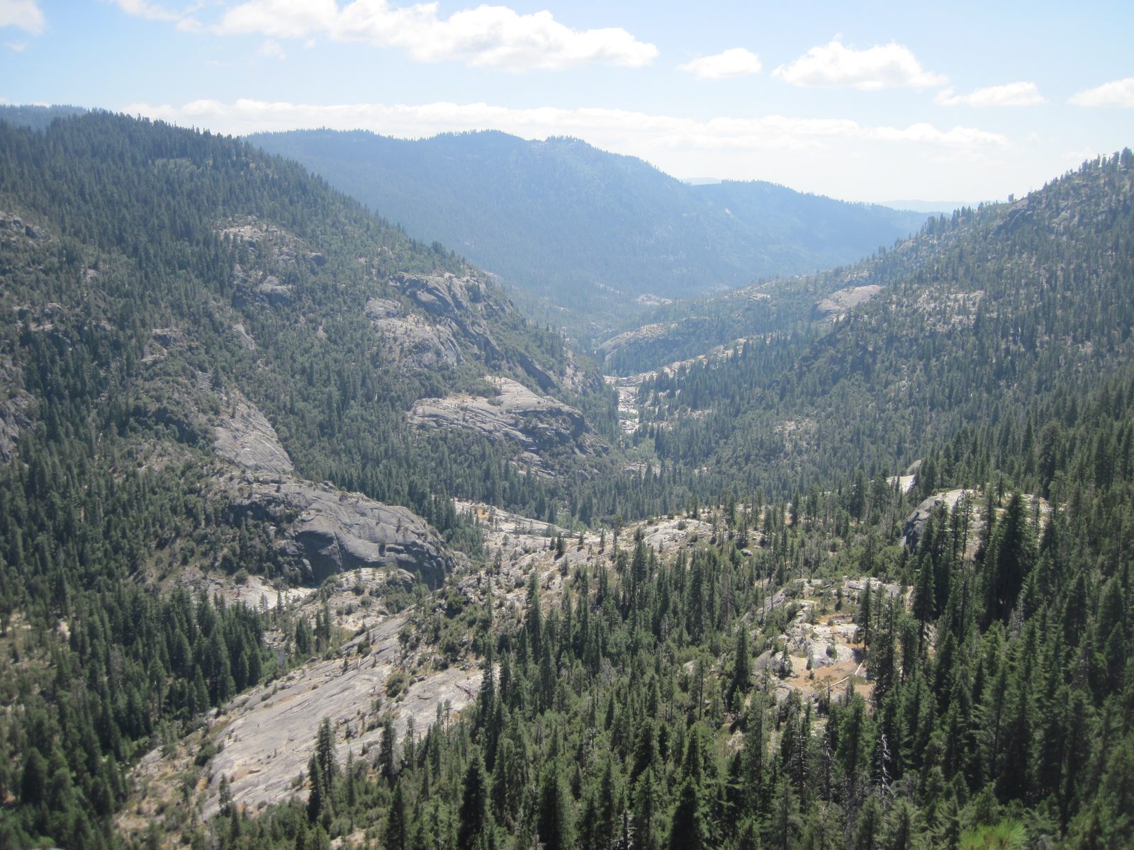 View of the North Fork of the King's