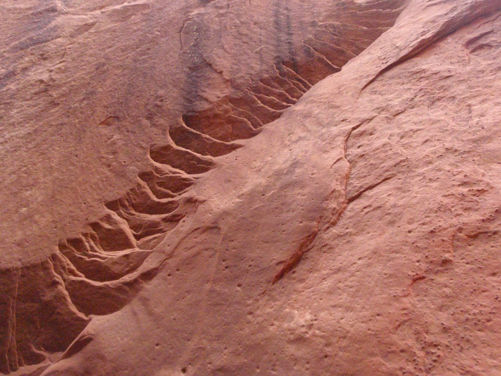 I don't know what causes these "tire tread" patterns in the rock. They look fascinating to rock climb.