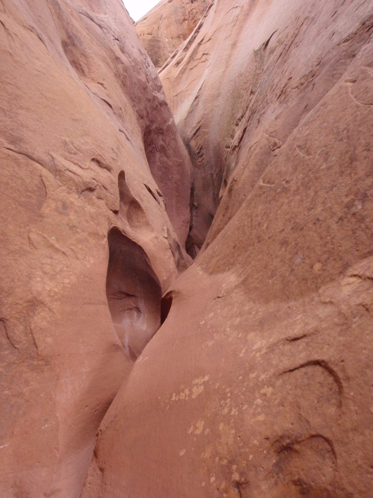 Canyon gets narrower.