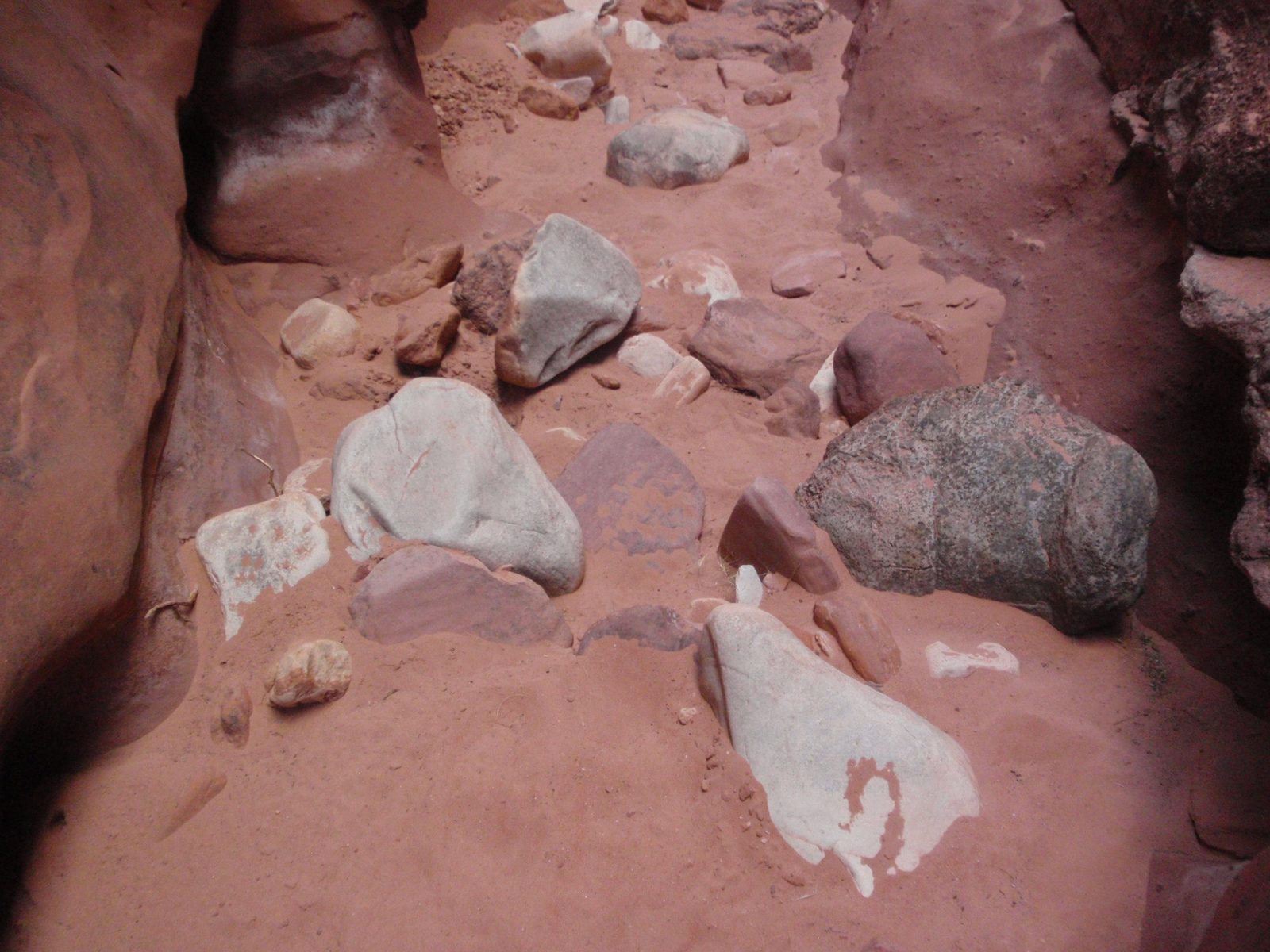 Red white and blue rocks. Happy Fourth Of July!