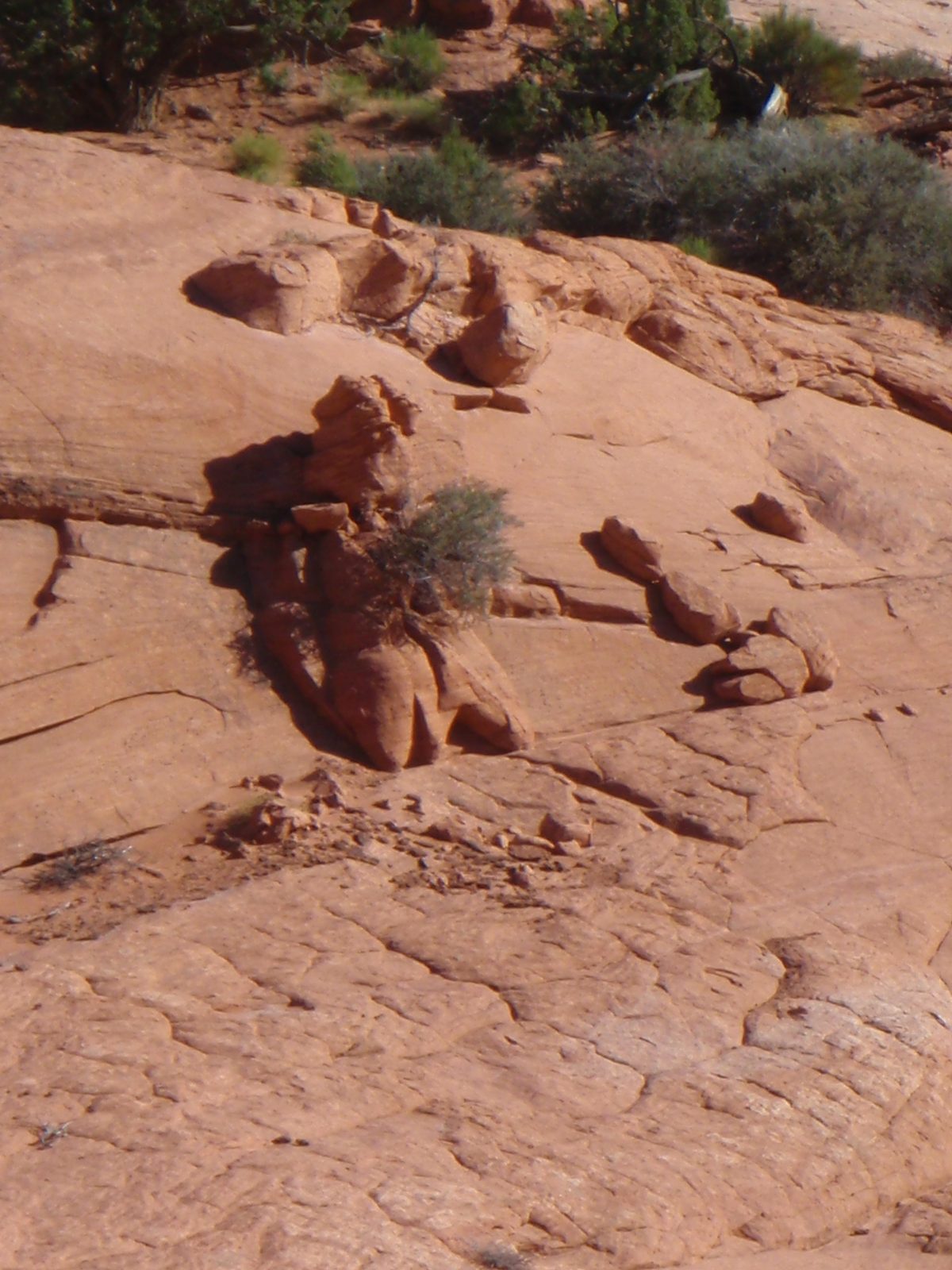 Doesn't this kind of look like a man, with a tree stuck in his chest?