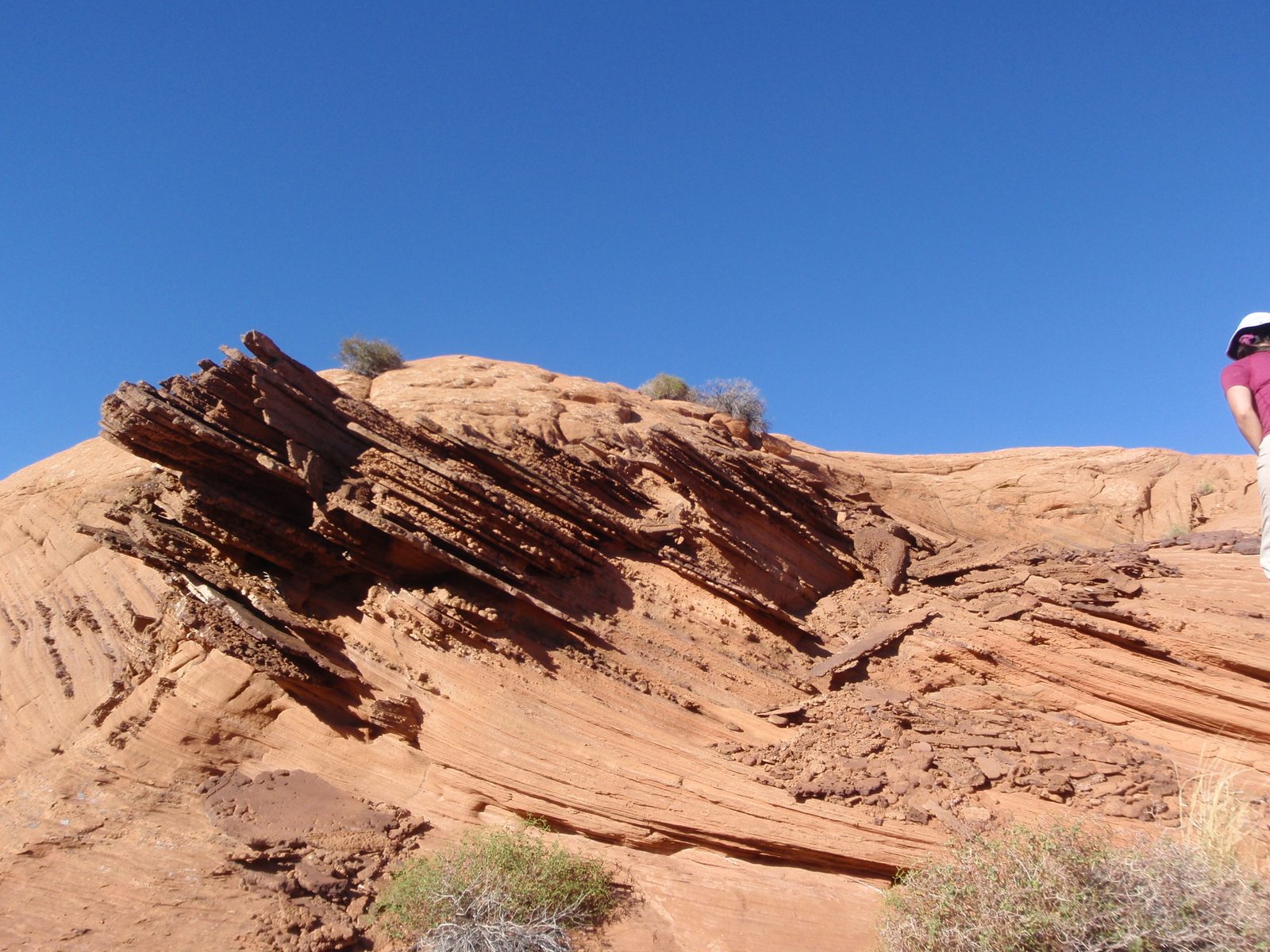 Neat sedimentary rock.