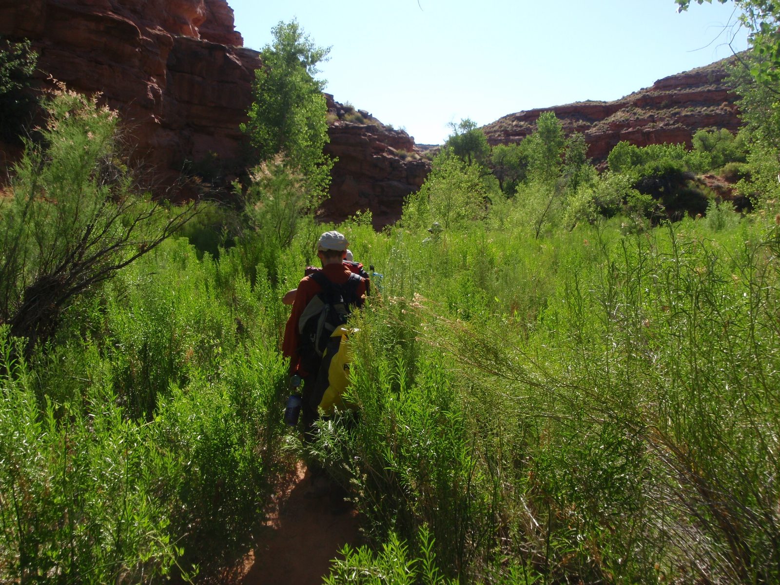 So amazing how the scenery changes! Just an hour ago, we were wandering a maze of slickrock and...