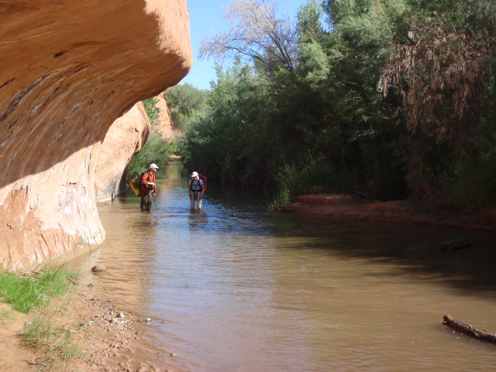 Joel and Turtle walking in the Escalante. The trail crosses or uses the river many times to make...