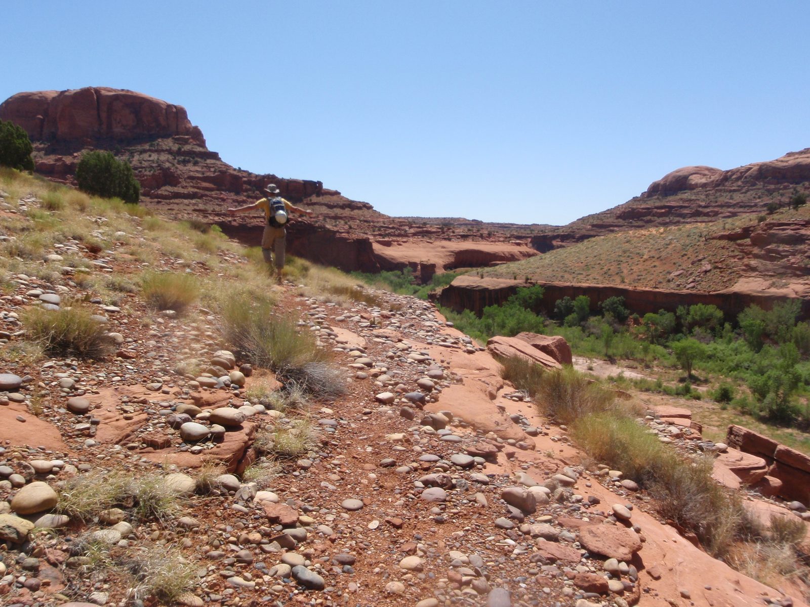 Having dropped our packs at camp, our plan was to hike up above Neon Canyon for as long and far...
