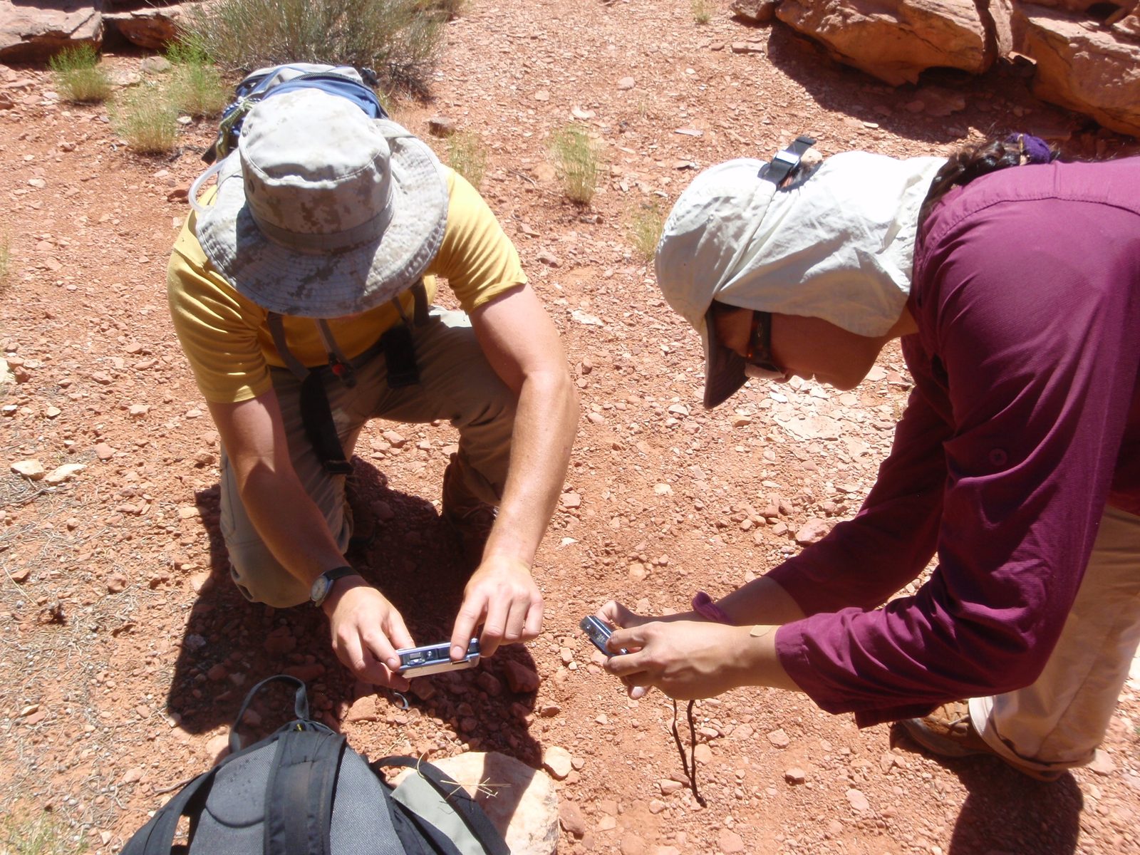 Andy and Turtle find a stick bug. You know, one of those bugs that looks exactly like a stick. I...