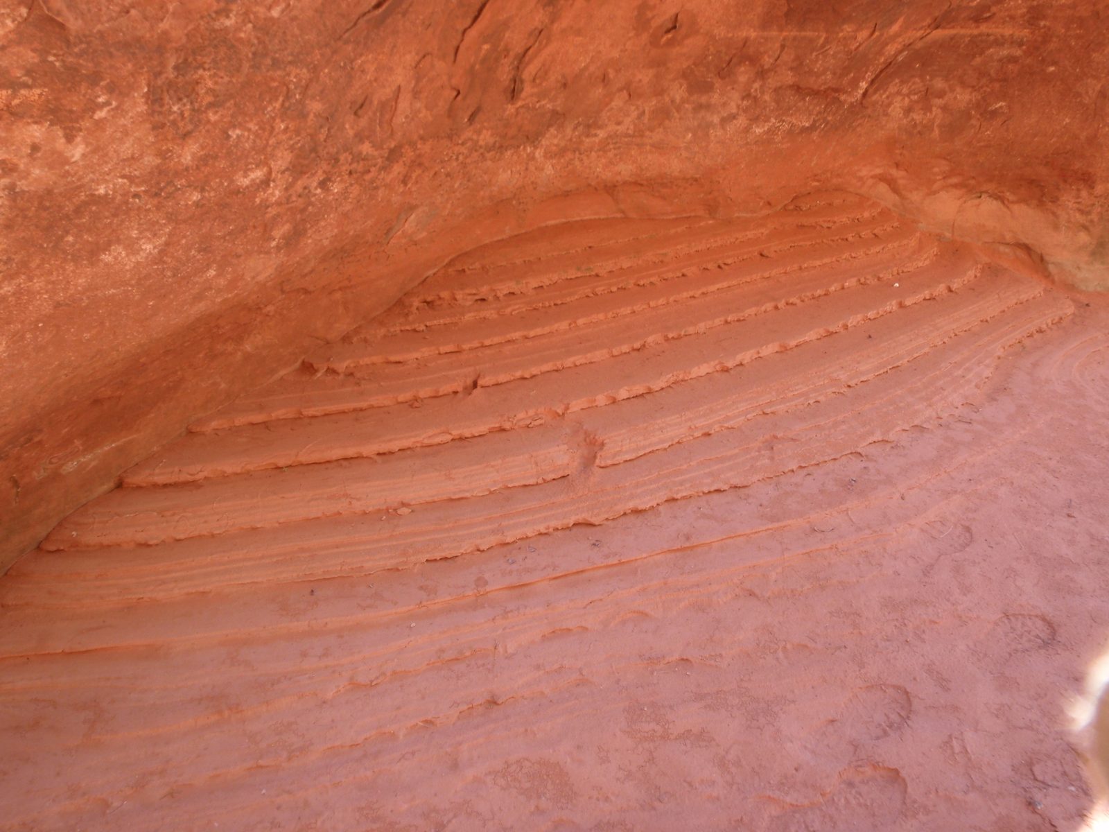 Strange mud formation caused by daily evaporation cycles? Not sure what caused this.