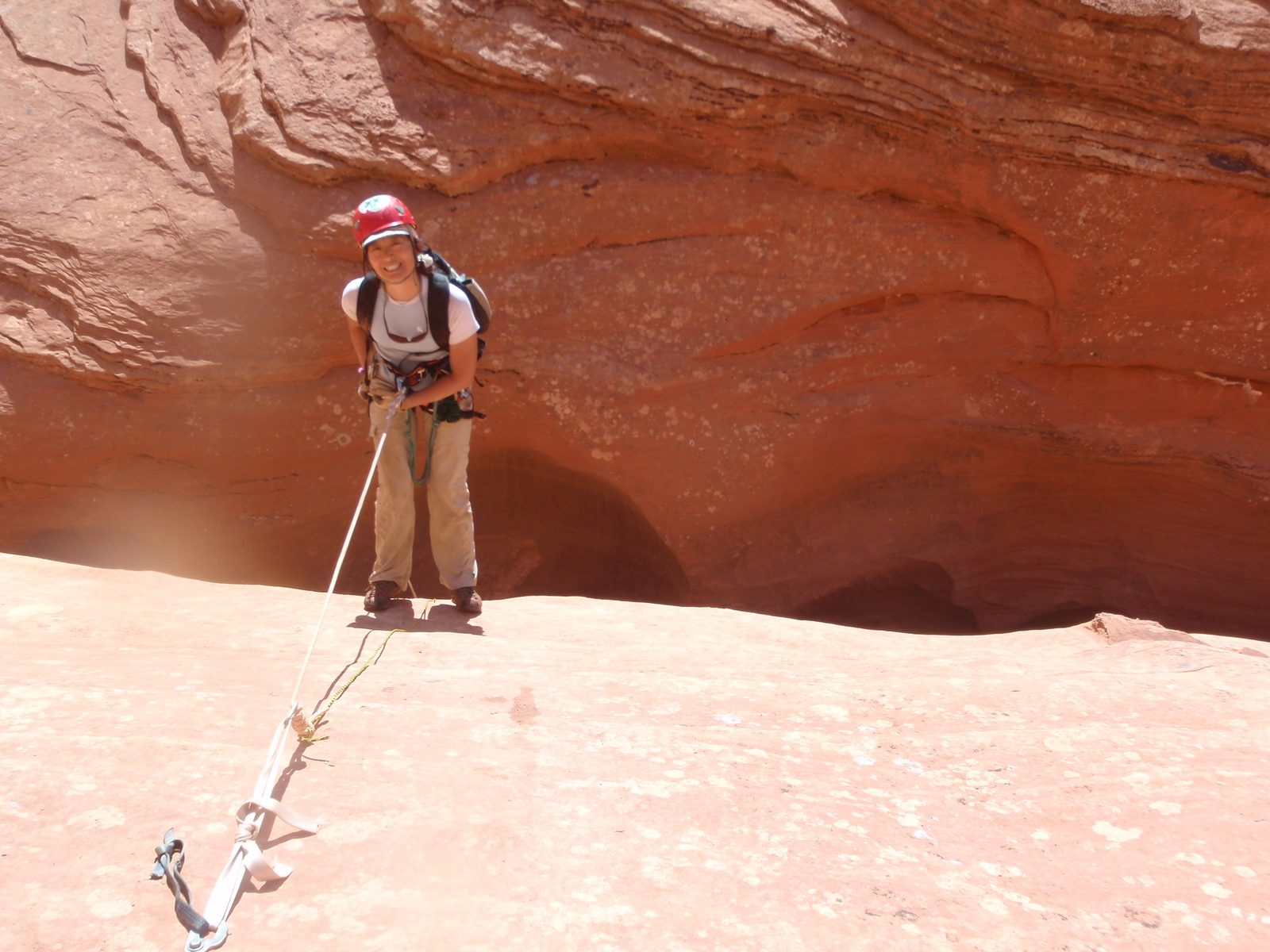 Turtle on rappel.
