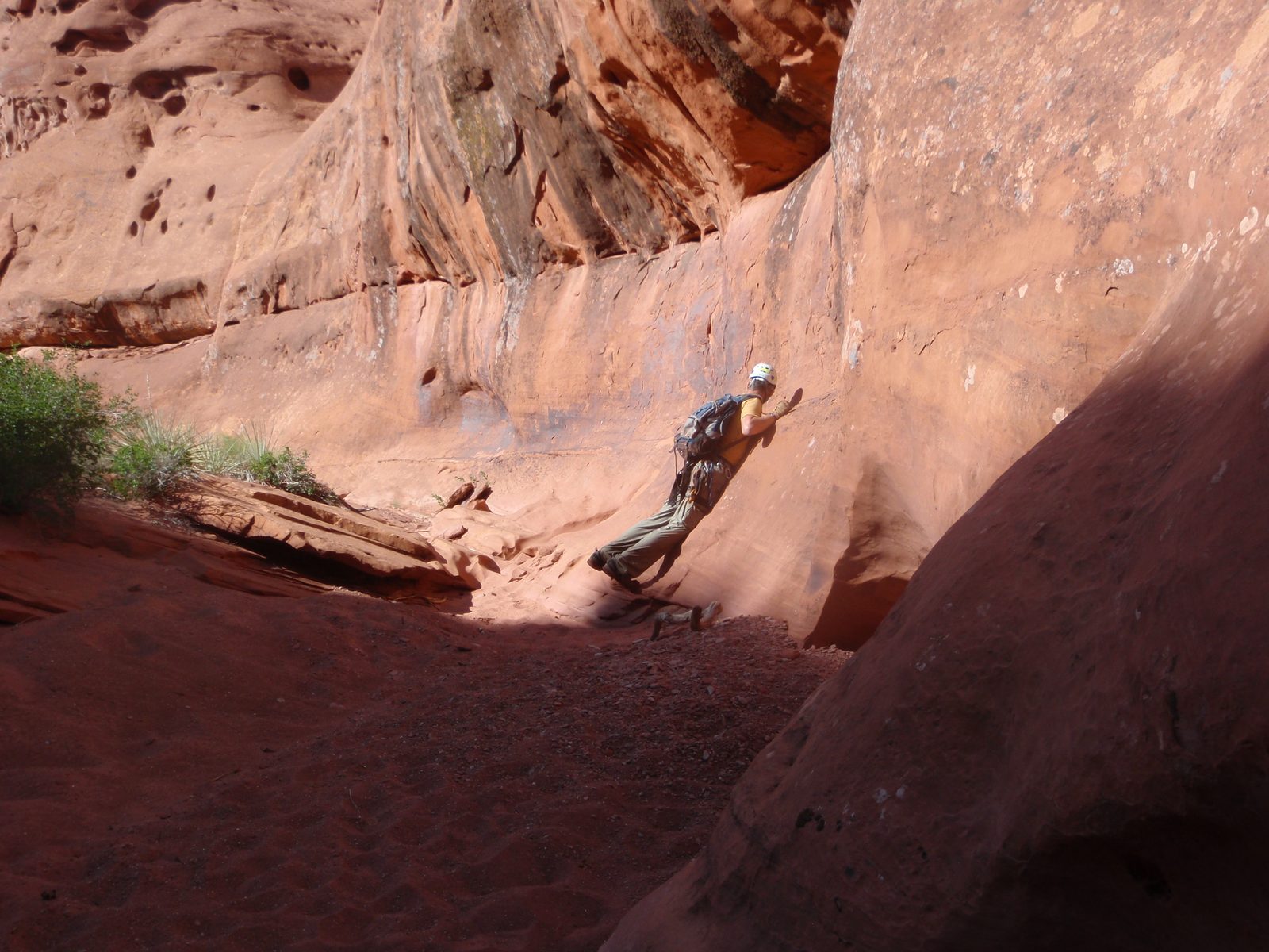 Andy does his best to warm up by lying on a sunny rock wall.