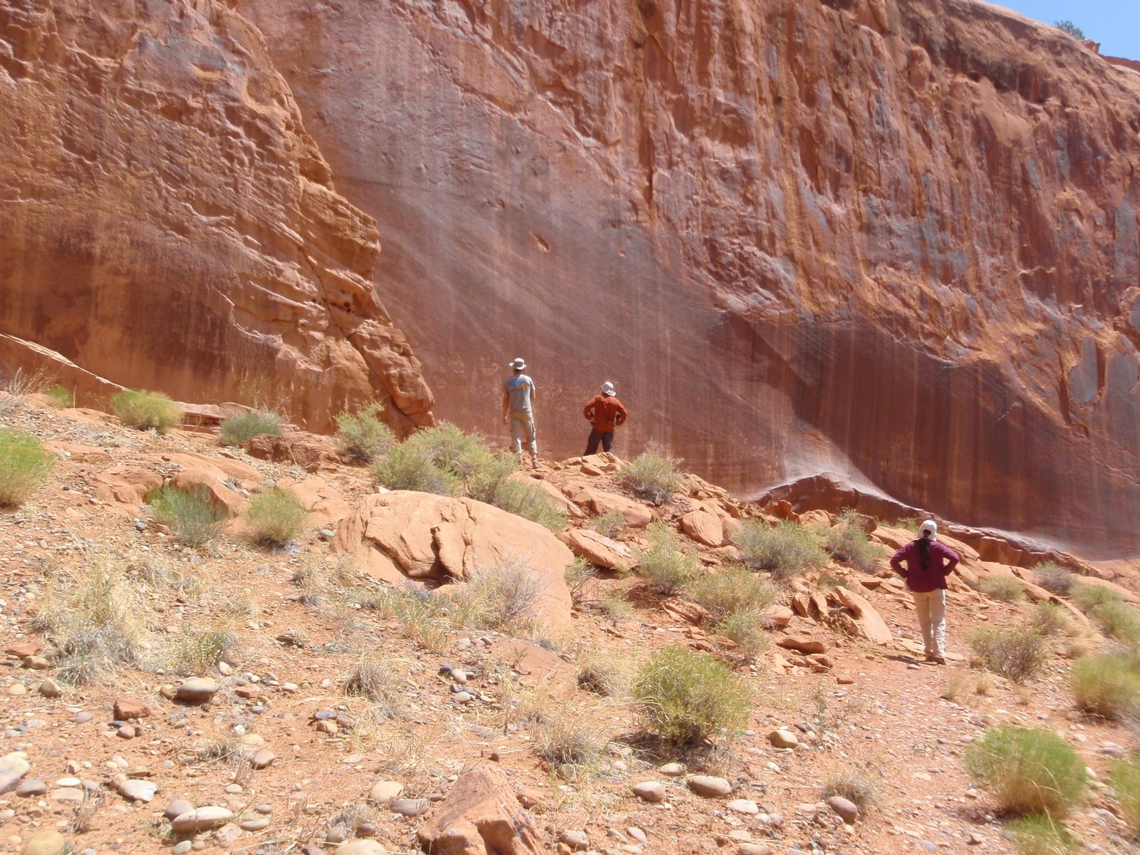 We had plenty of time on the way back, so we decided to inspect some of the petroglyphs more closely.
