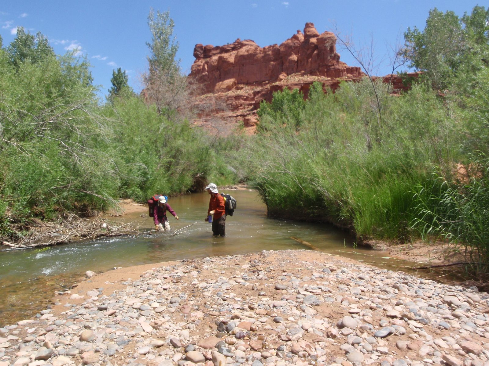 Turtle and Joel - Joel helps Turtle through a murky deep section of river.