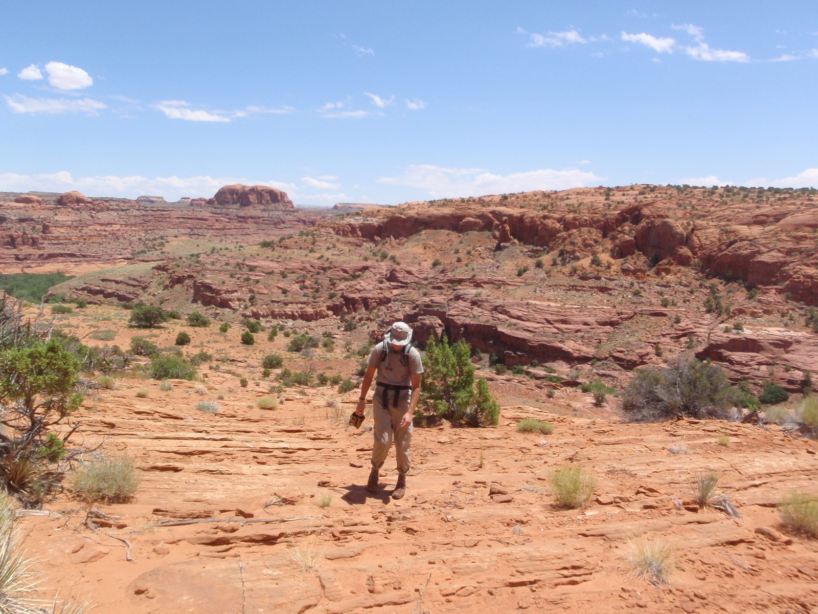 Hiking back up onto the Egypt Bench at high noon. It was brutally hot. I think this is when...