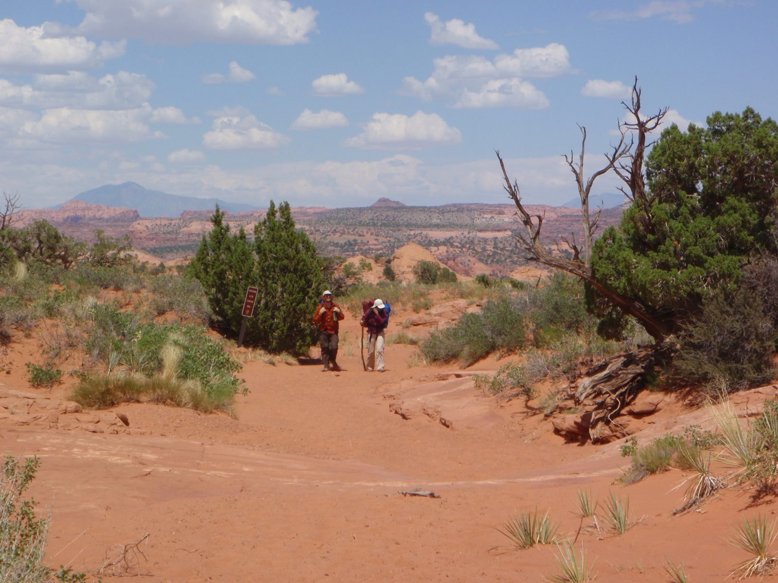Turtle and Joel, walking by that same National Rifle Association sign that we saw on the hike...