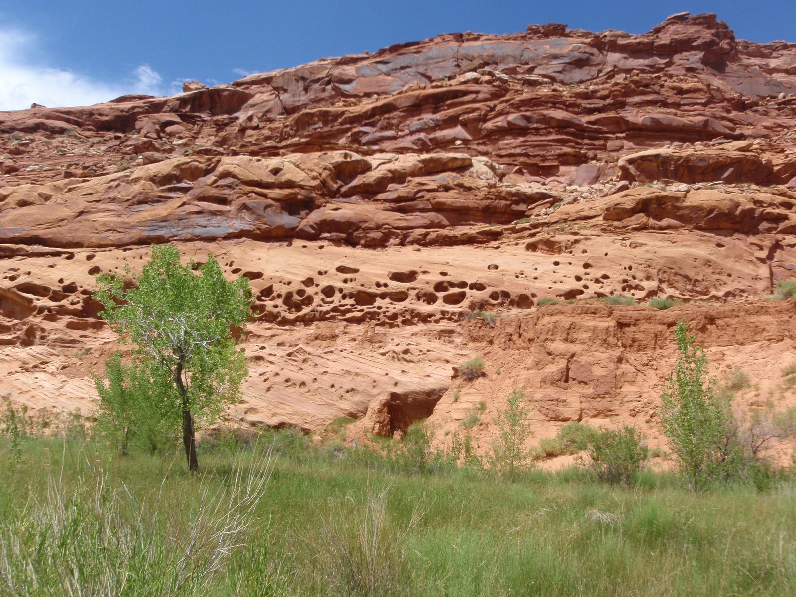 One cool thing we did see were lots of rock badger burrows.