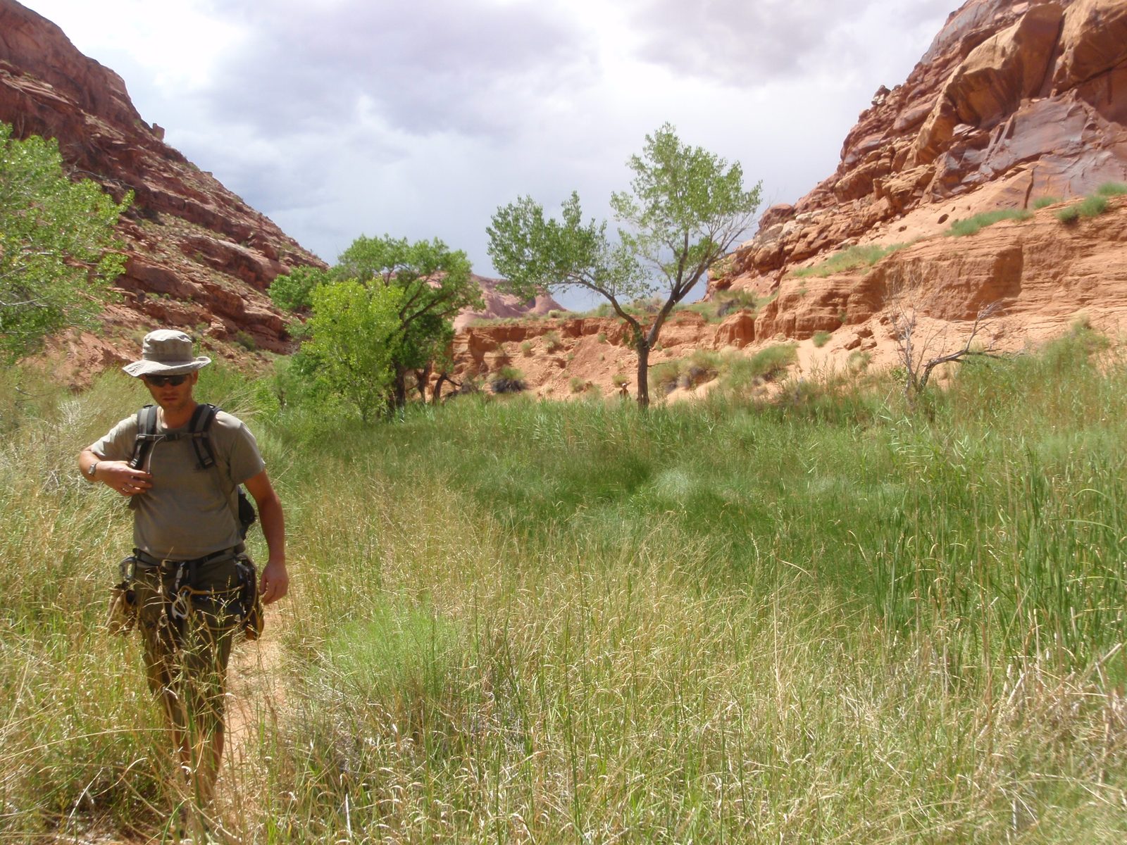 Hiking in a relative oasis in the sweltering heat.