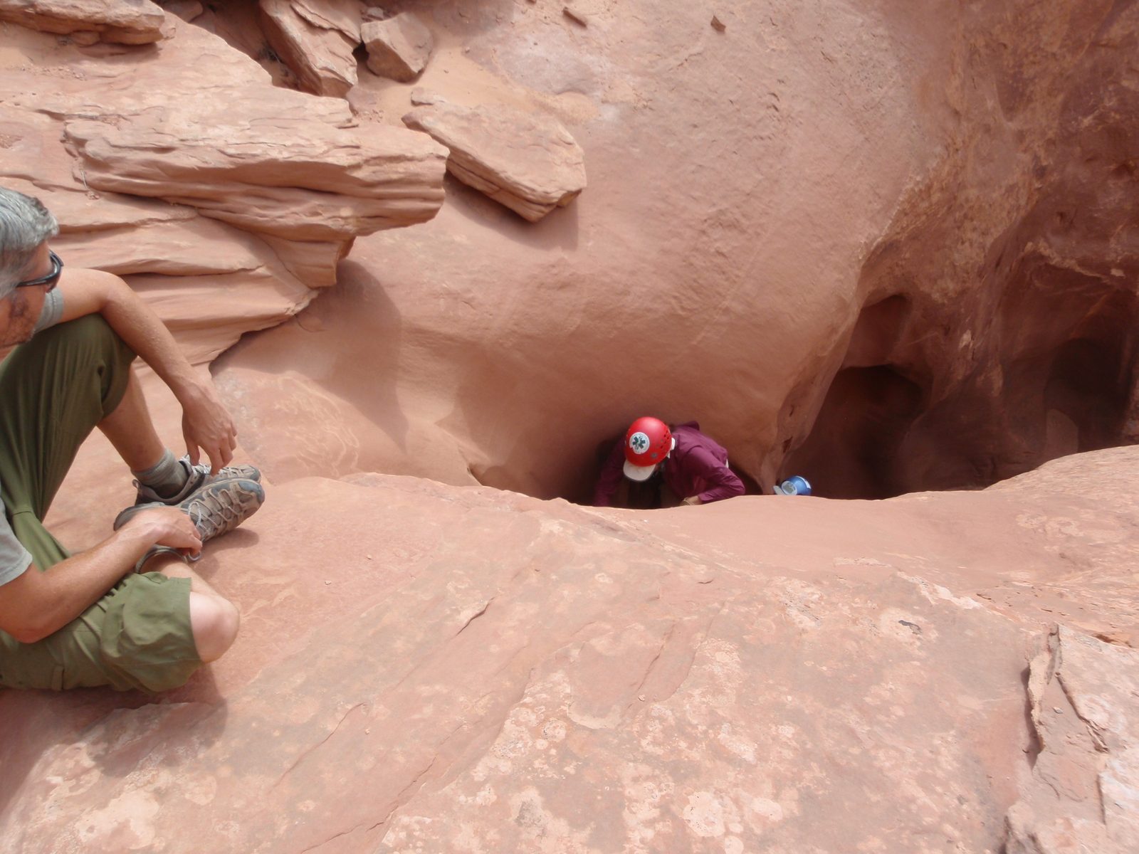 Turtle climbs up.
