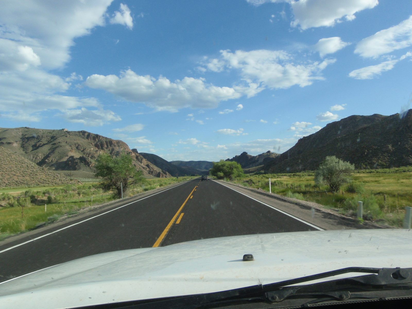 Blue skies and green land in Nevada.