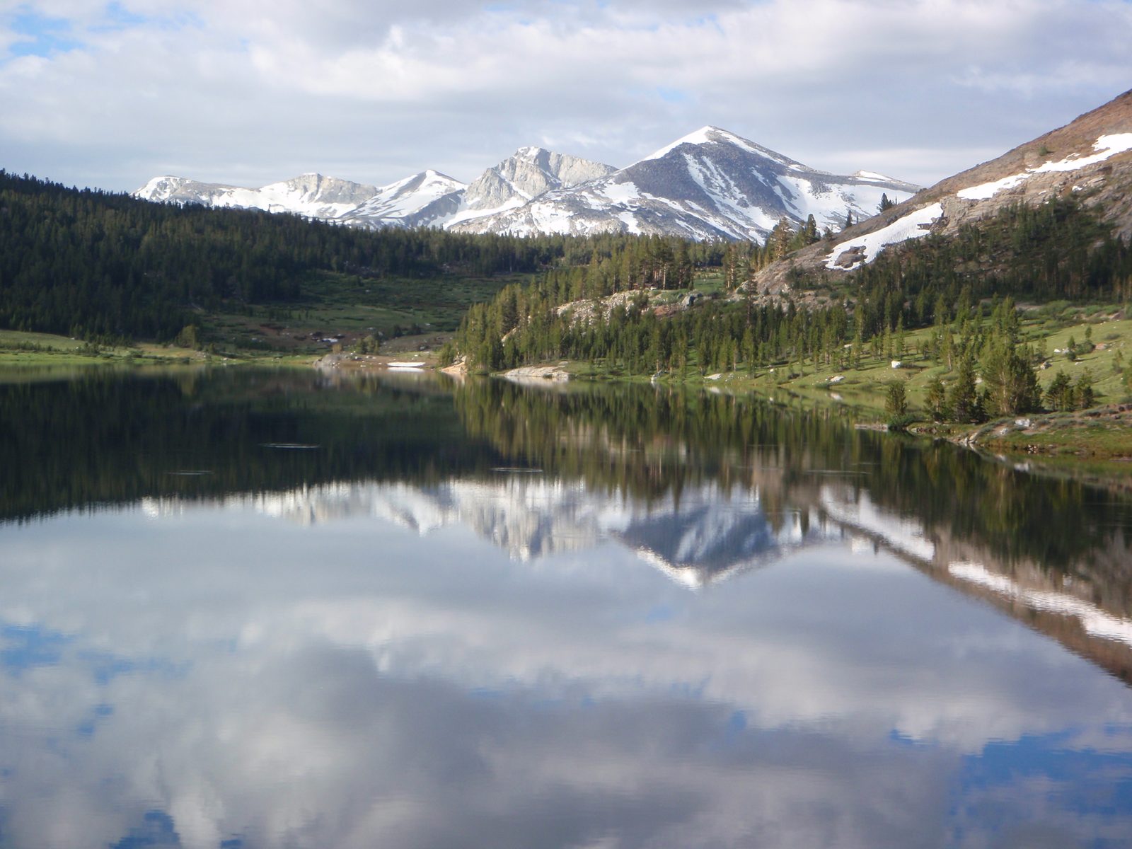 Mount Dana, I think?