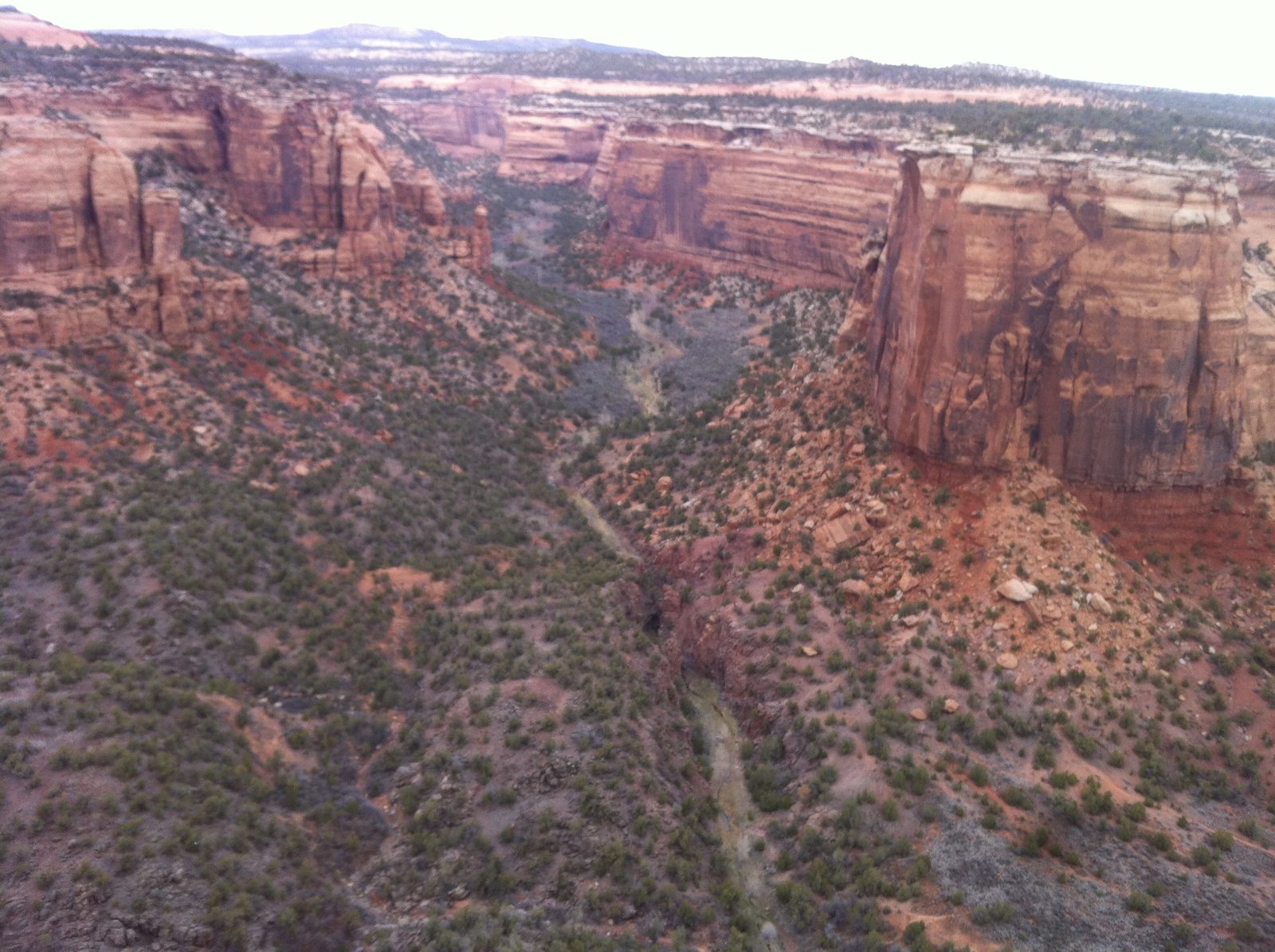 Ute canyon in Colorado National Monument