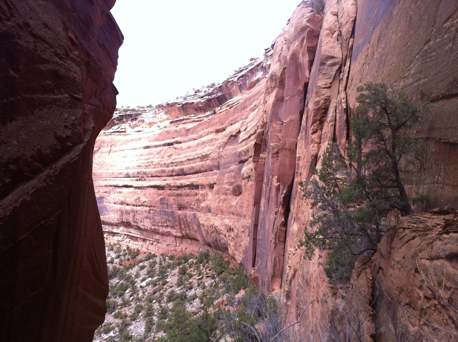 Climb over this way called 99 Feet Of Joy.