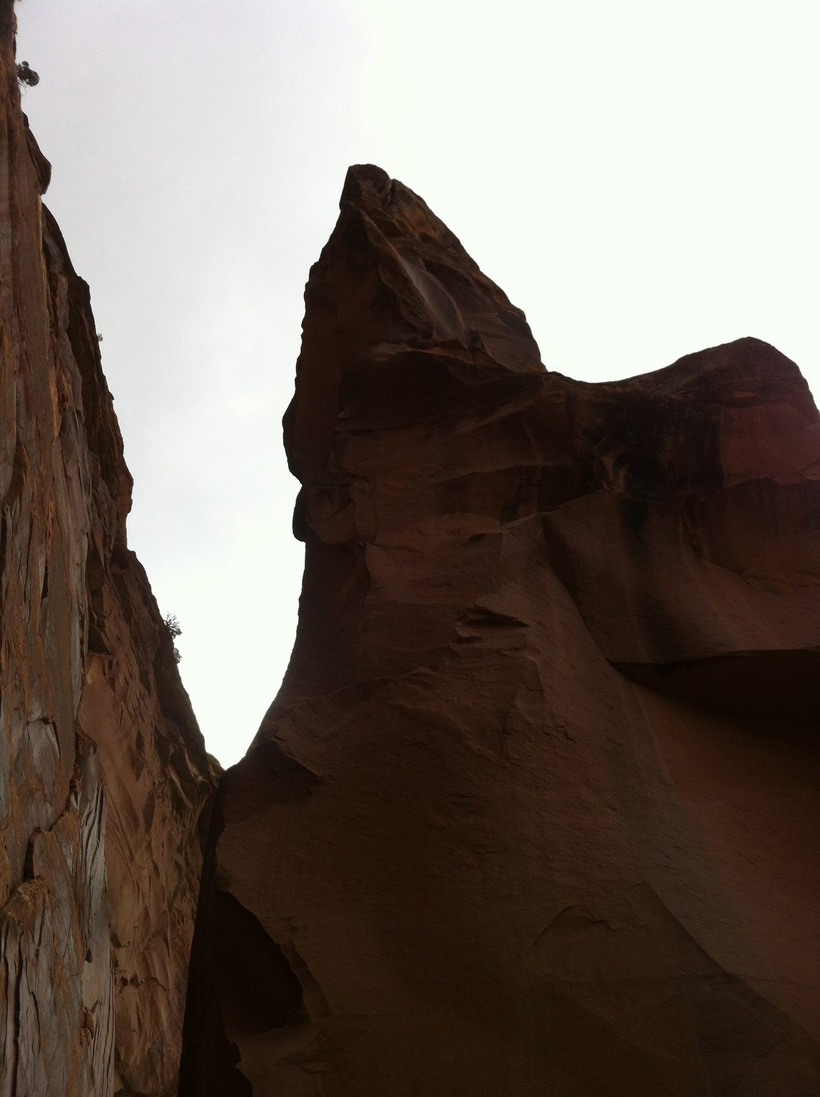 Fallen Rock.