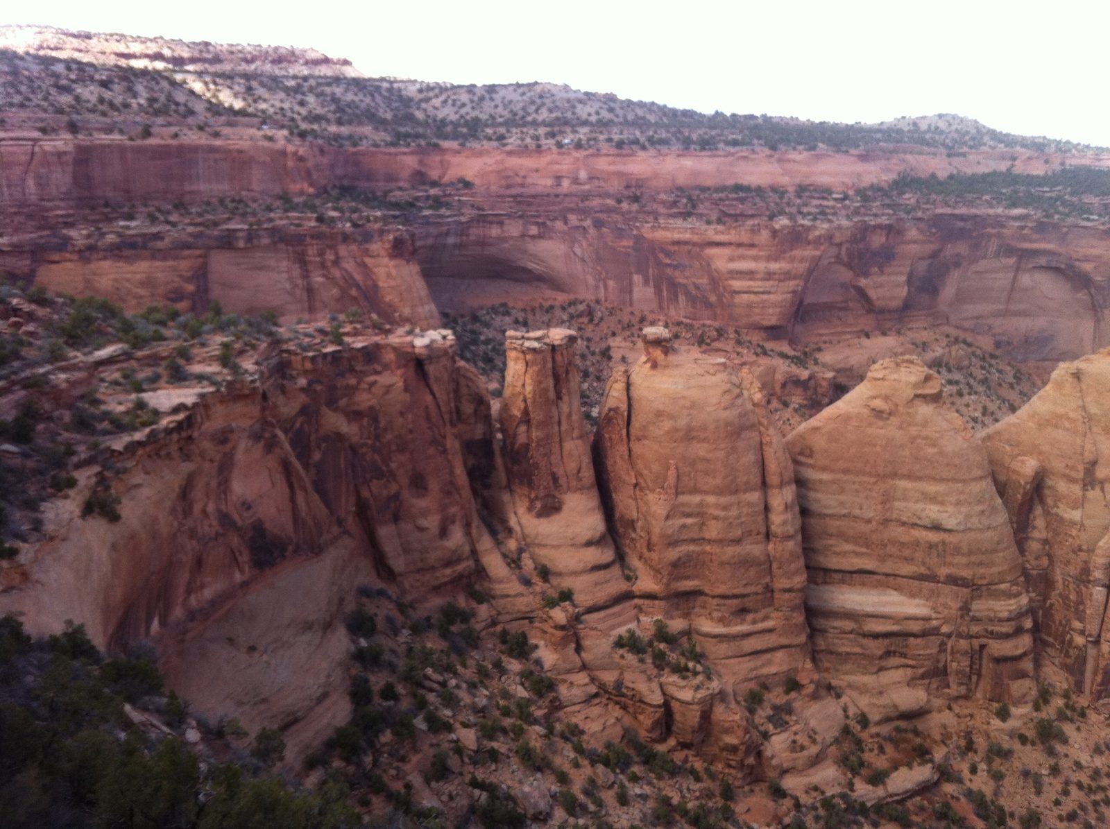 Formations viewed from the rim trail of Colorado National Monument.