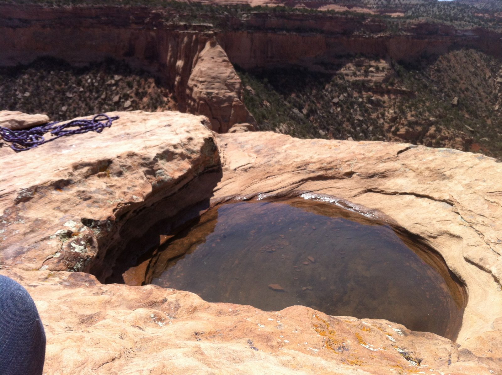 Desert pothole, filled with several inches of water on the summit.