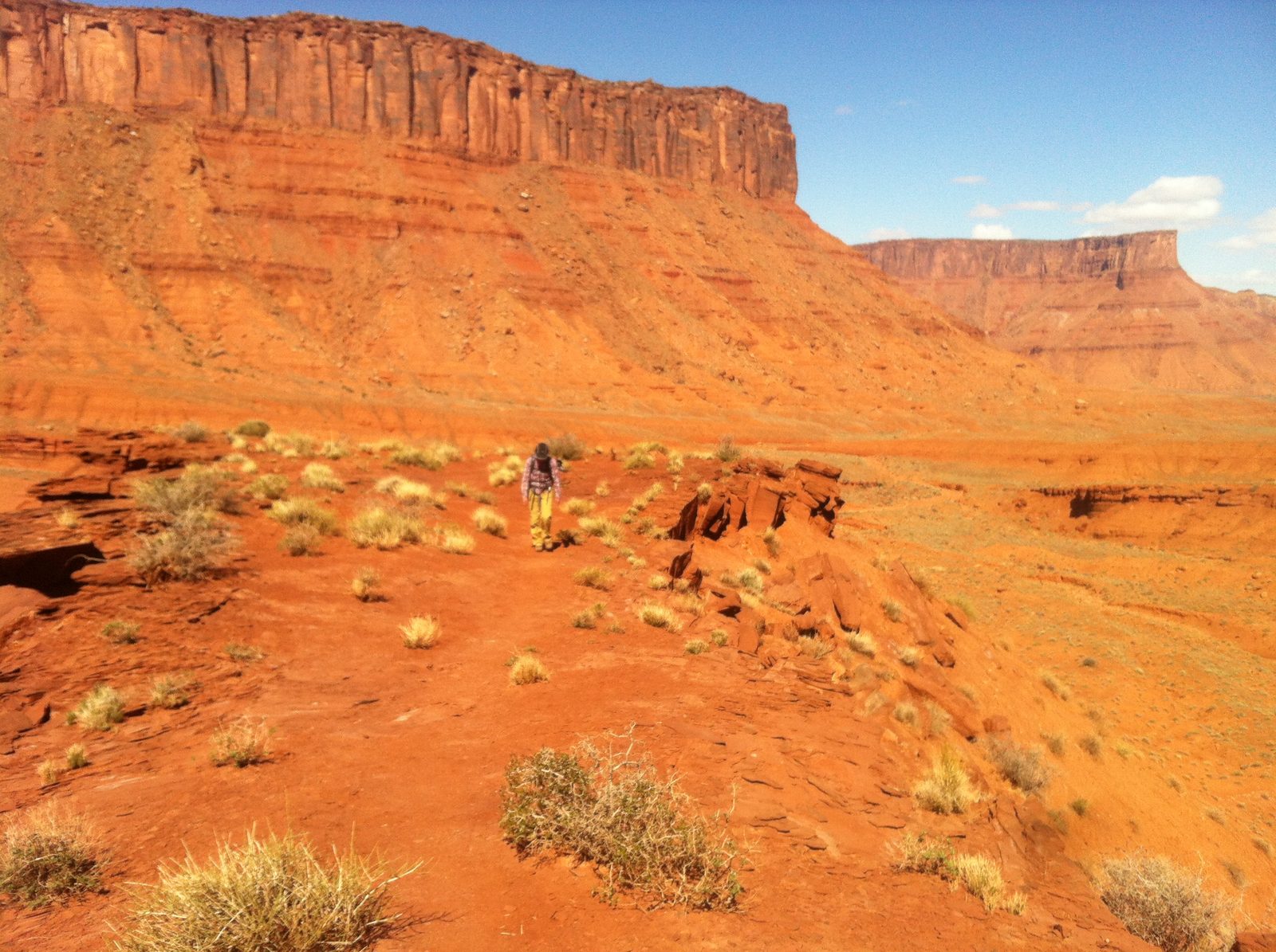 The hike in was amazing: the air was crisp and quite cold for the desert on a sunny day. Many...