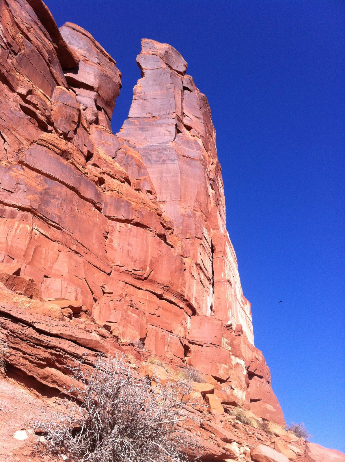 Sister Superior again. Note the calcite varnish.