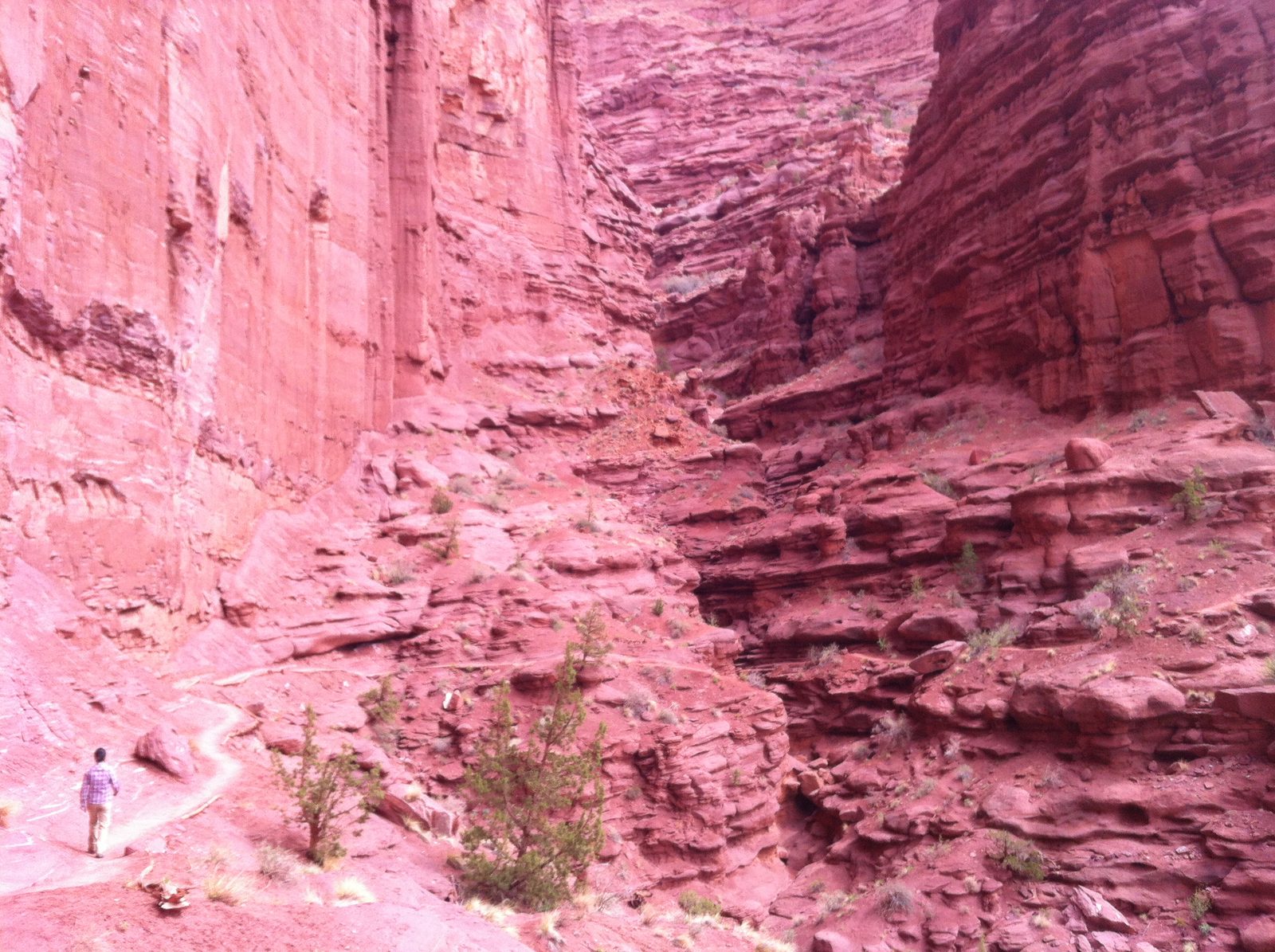 Monica hiking among the Fisher Towers.