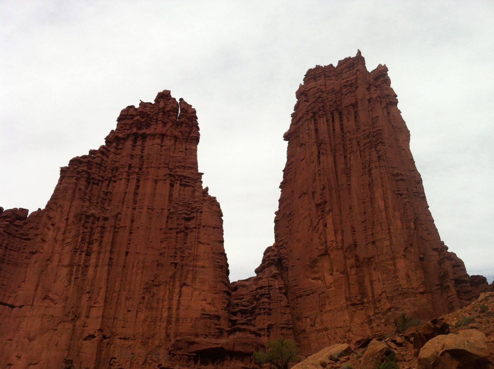 Clearly the fossilized remains of an ancient alien civilization. The towers are probably close...