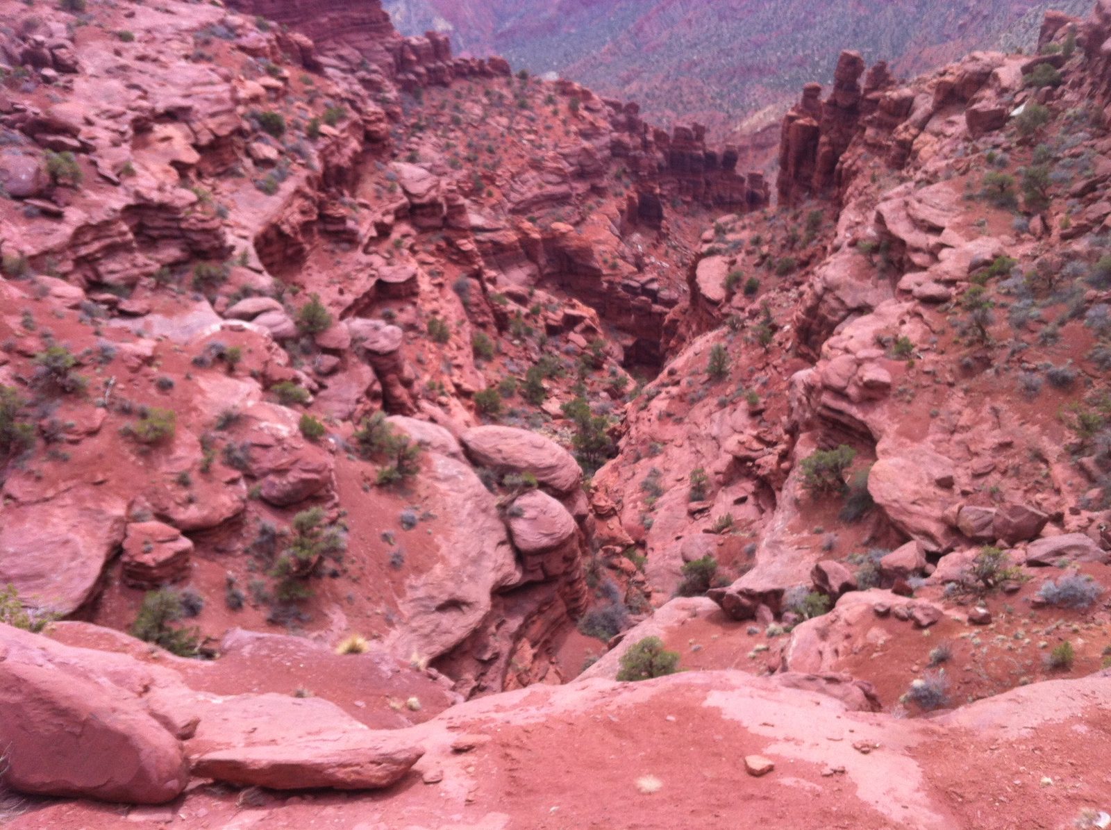 Looking down a canyon near Fisher Towers.