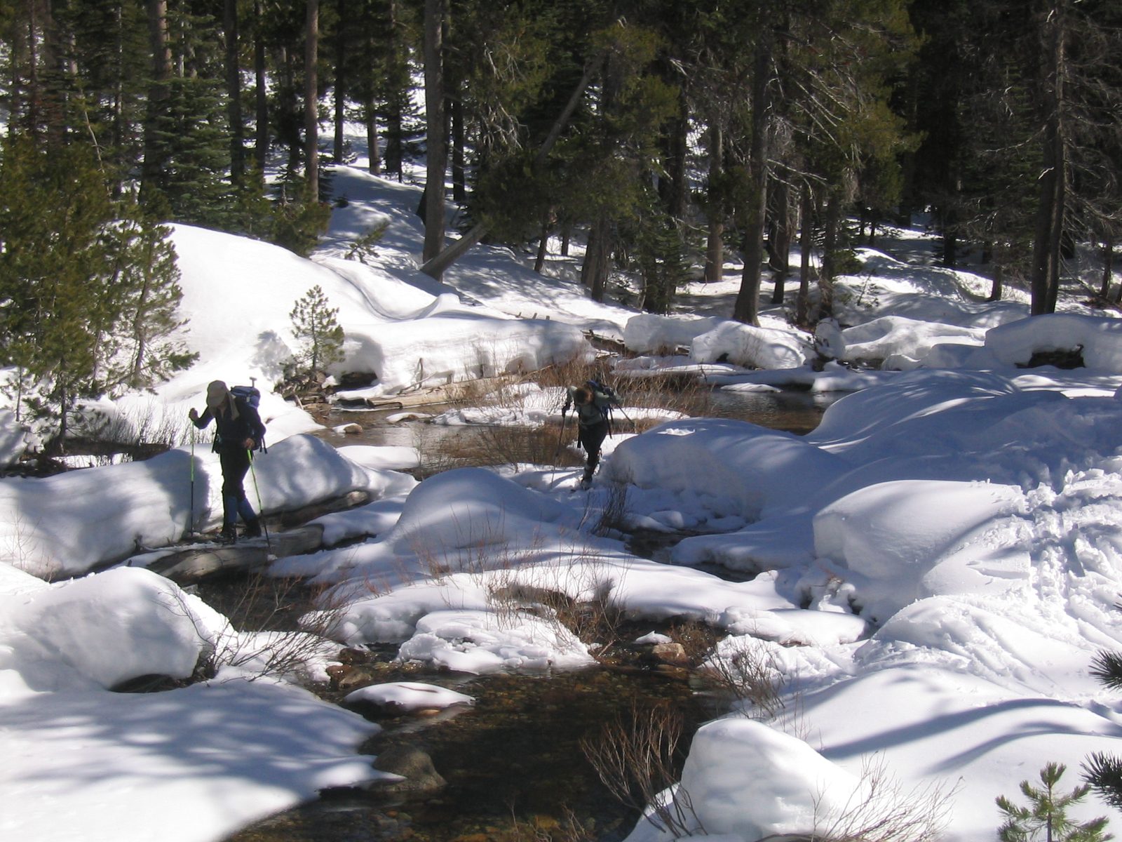 Terry and Sofia, using ice, logs and underbrush as footing to ford Annoying Stream #37 on our...