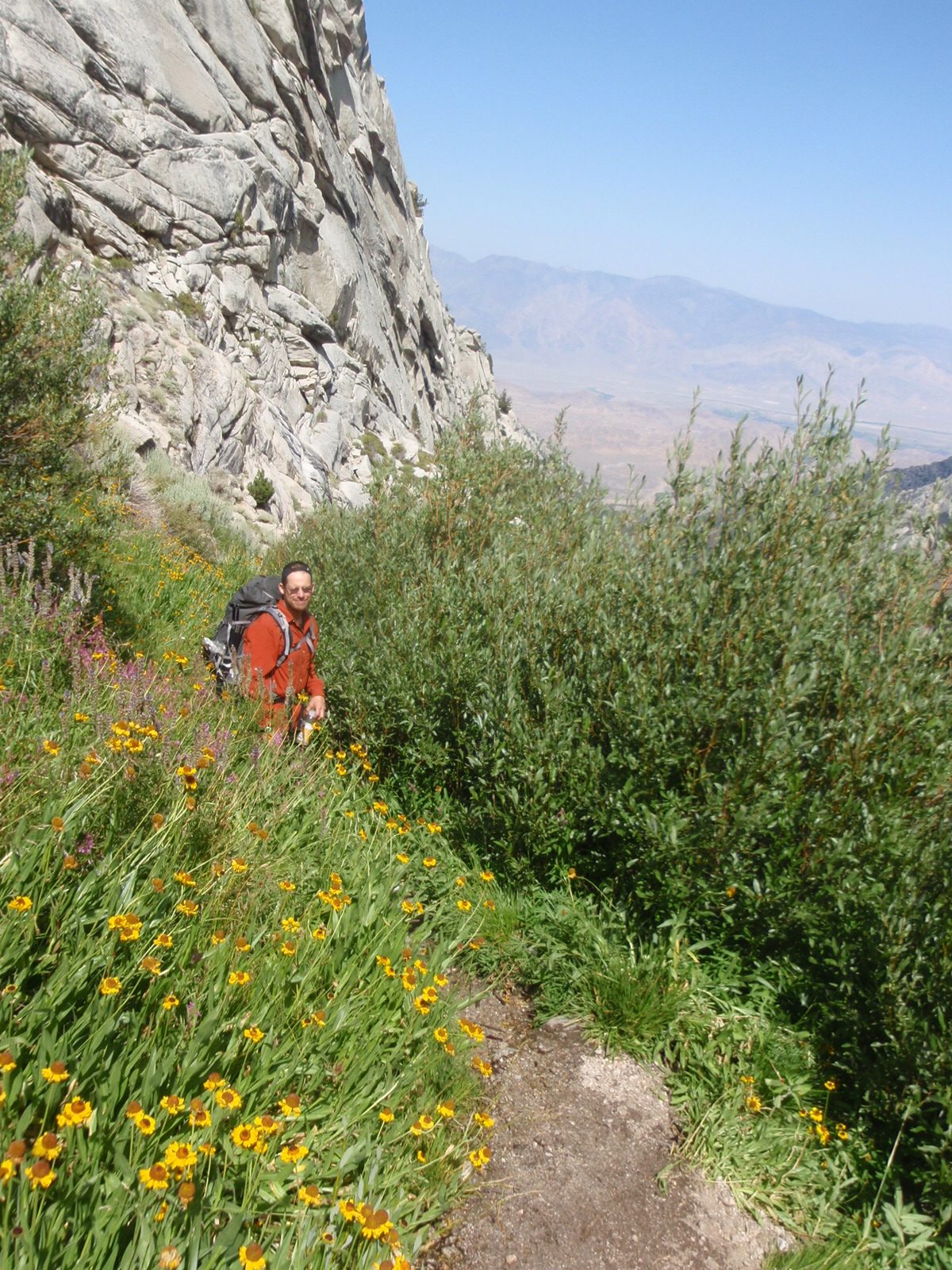 Now on the hike down:  Joel hikes through a patch of picturesque wildflowers.