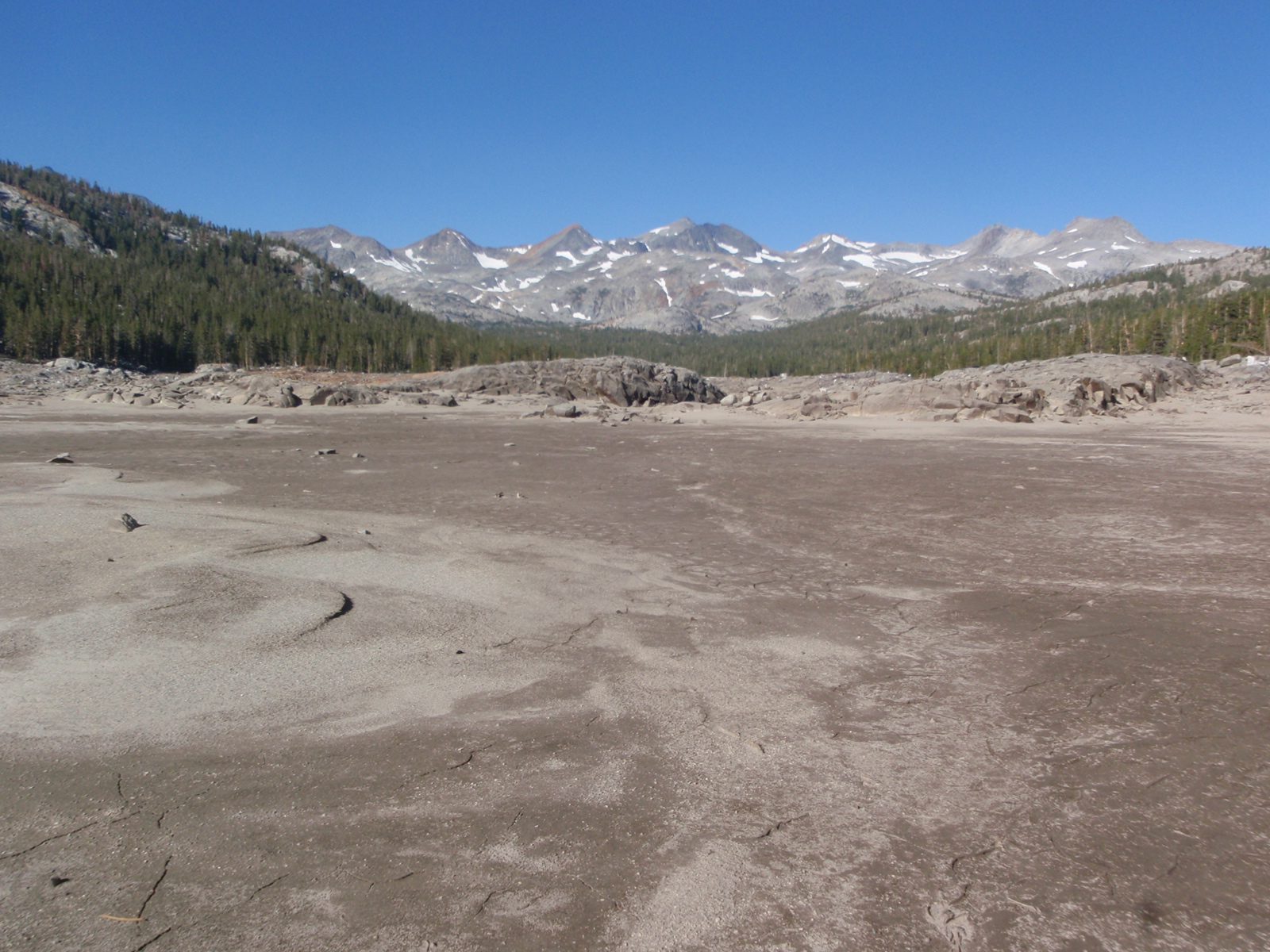 It was a surprisingly long walk, but it was flat and the ground was soft so it was easy going.