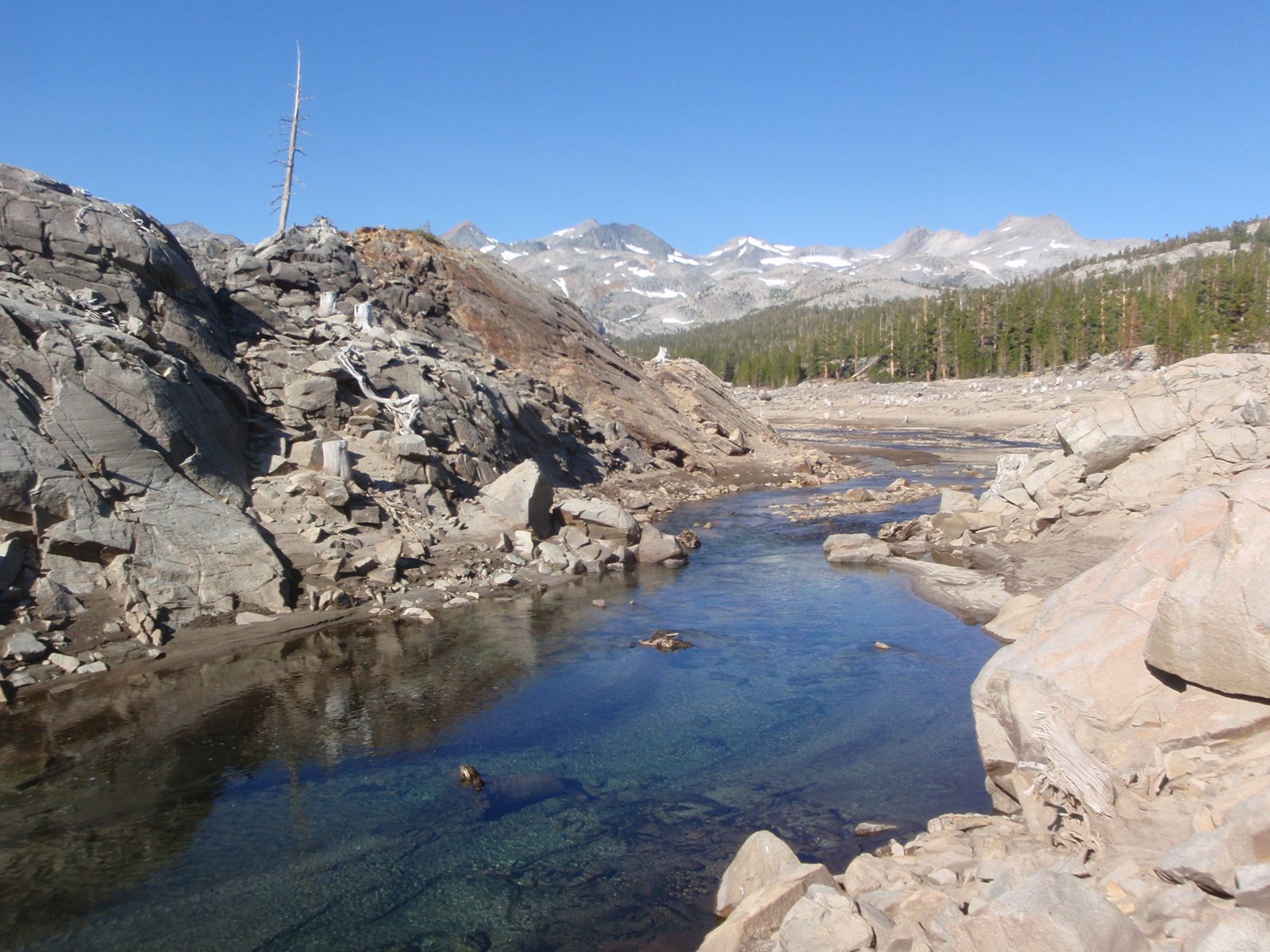 If you really use your imagination you might be able to picture how pretty this place must have...