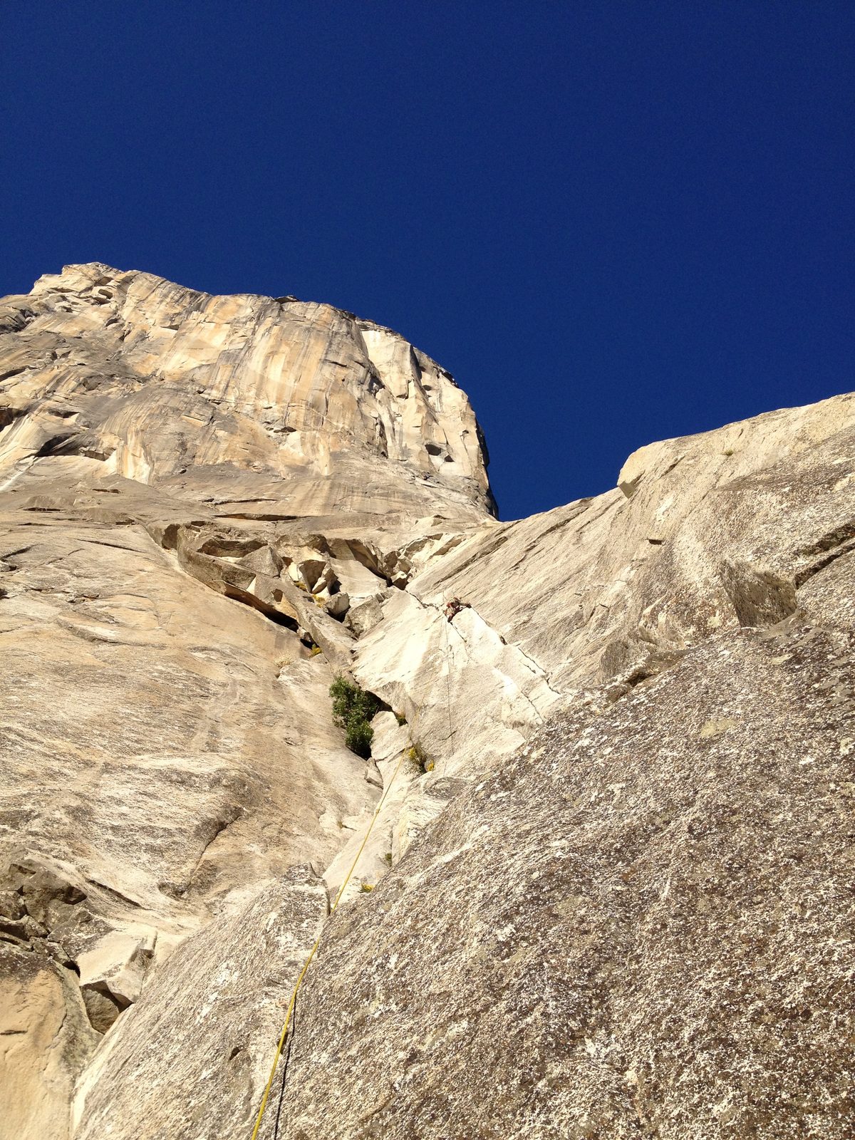 Ian, also on Salathe Wall, pitch 1. If you zoom in, you can see some fixed gear hanging from the...