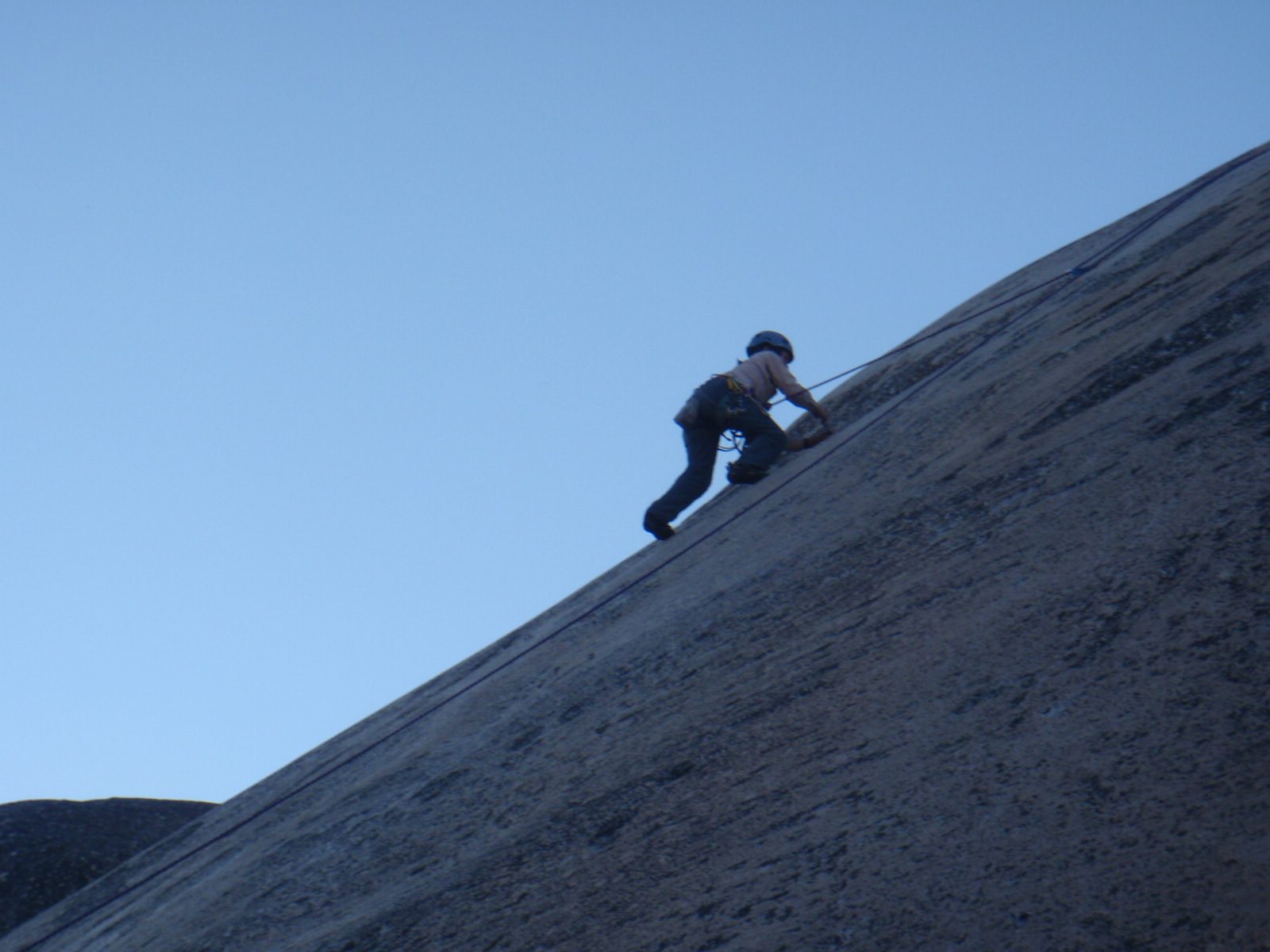 Just about to the top.