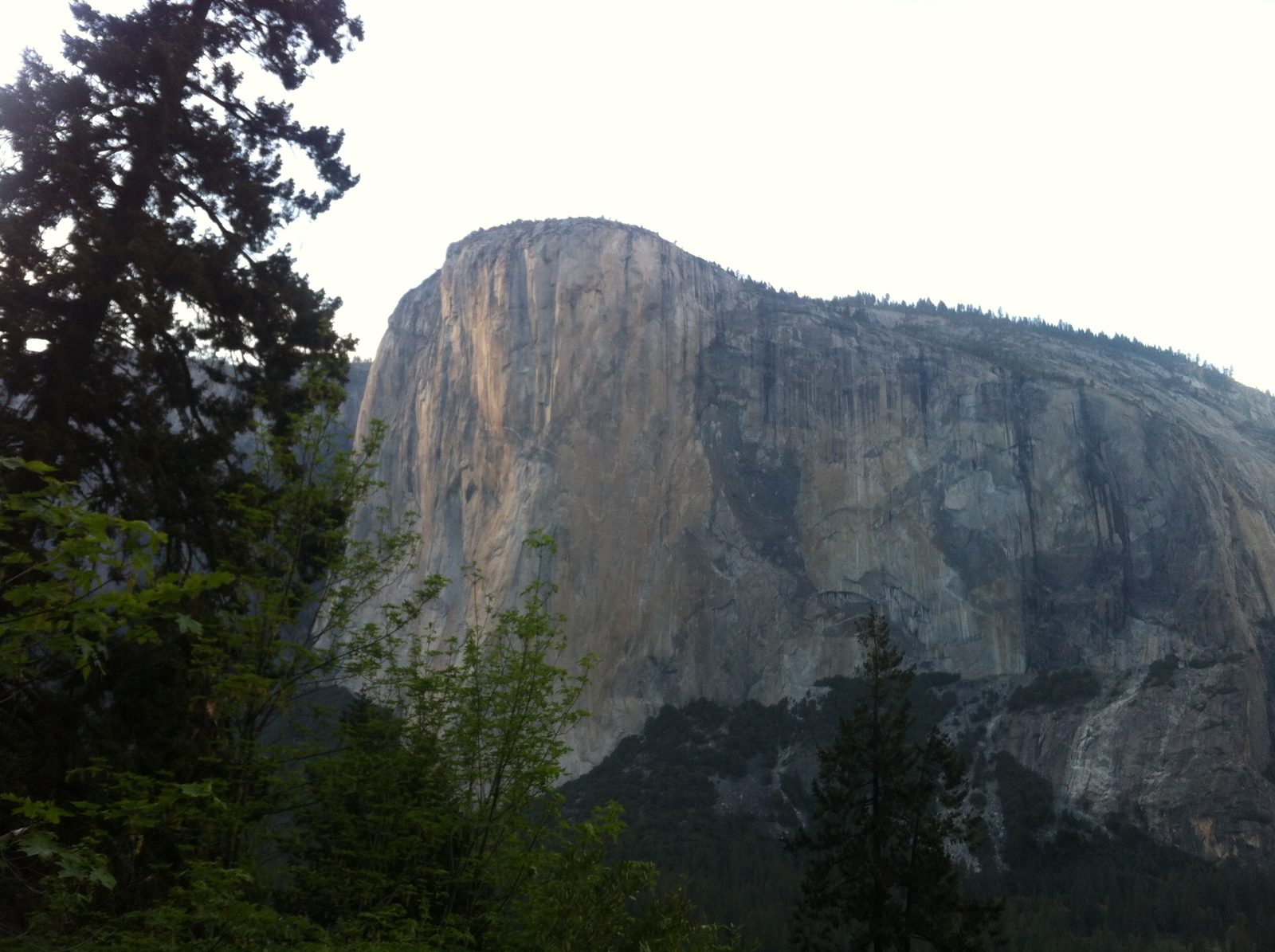 El Cap at sunset.