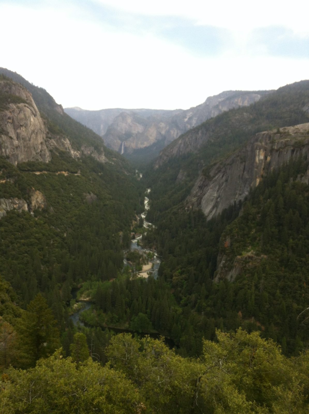 Merced River and Bridal Veil falls in the background. If you look close you can see the...