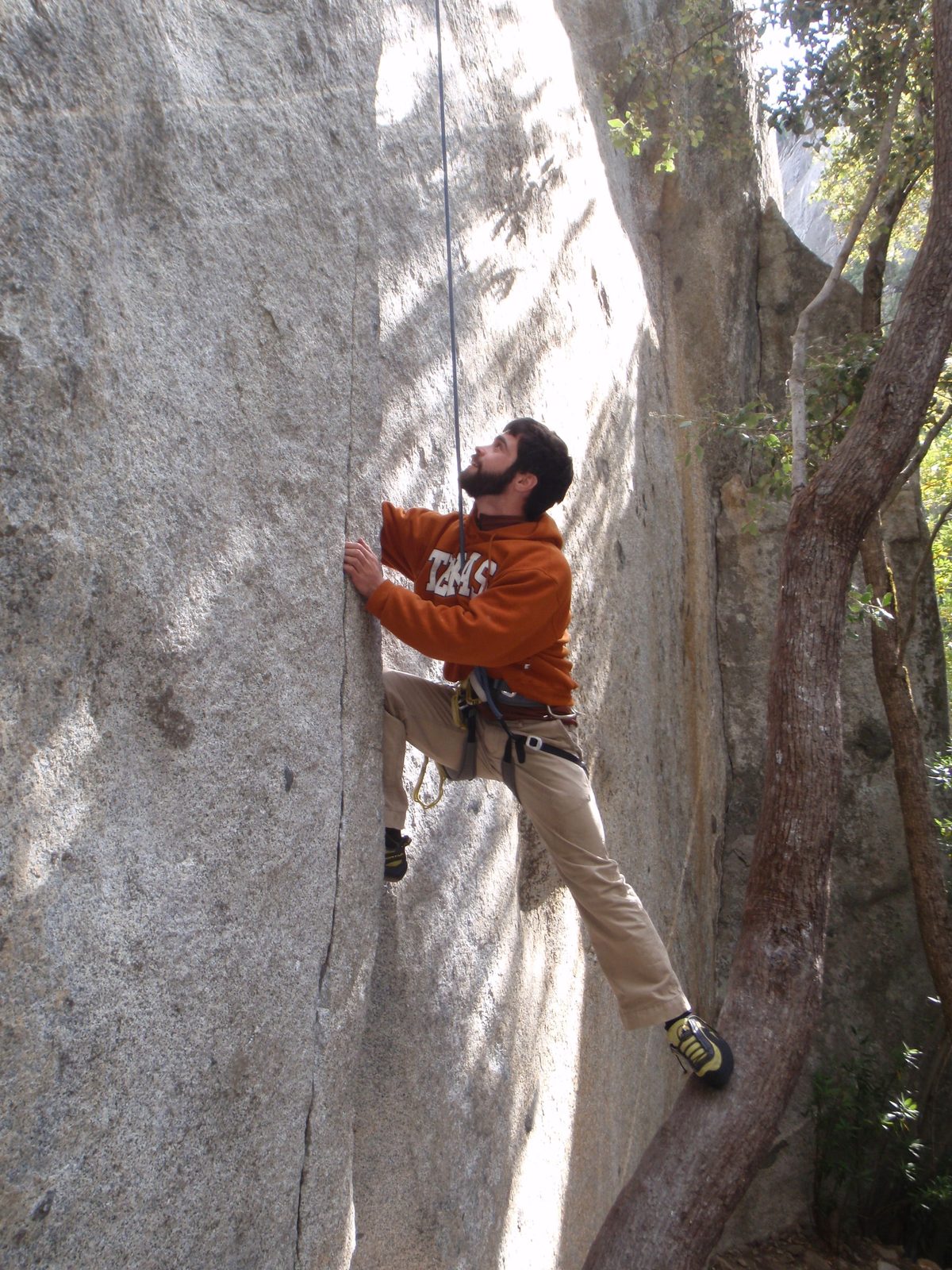 There were brief moments during which we weren't actually using the tree for support. The...