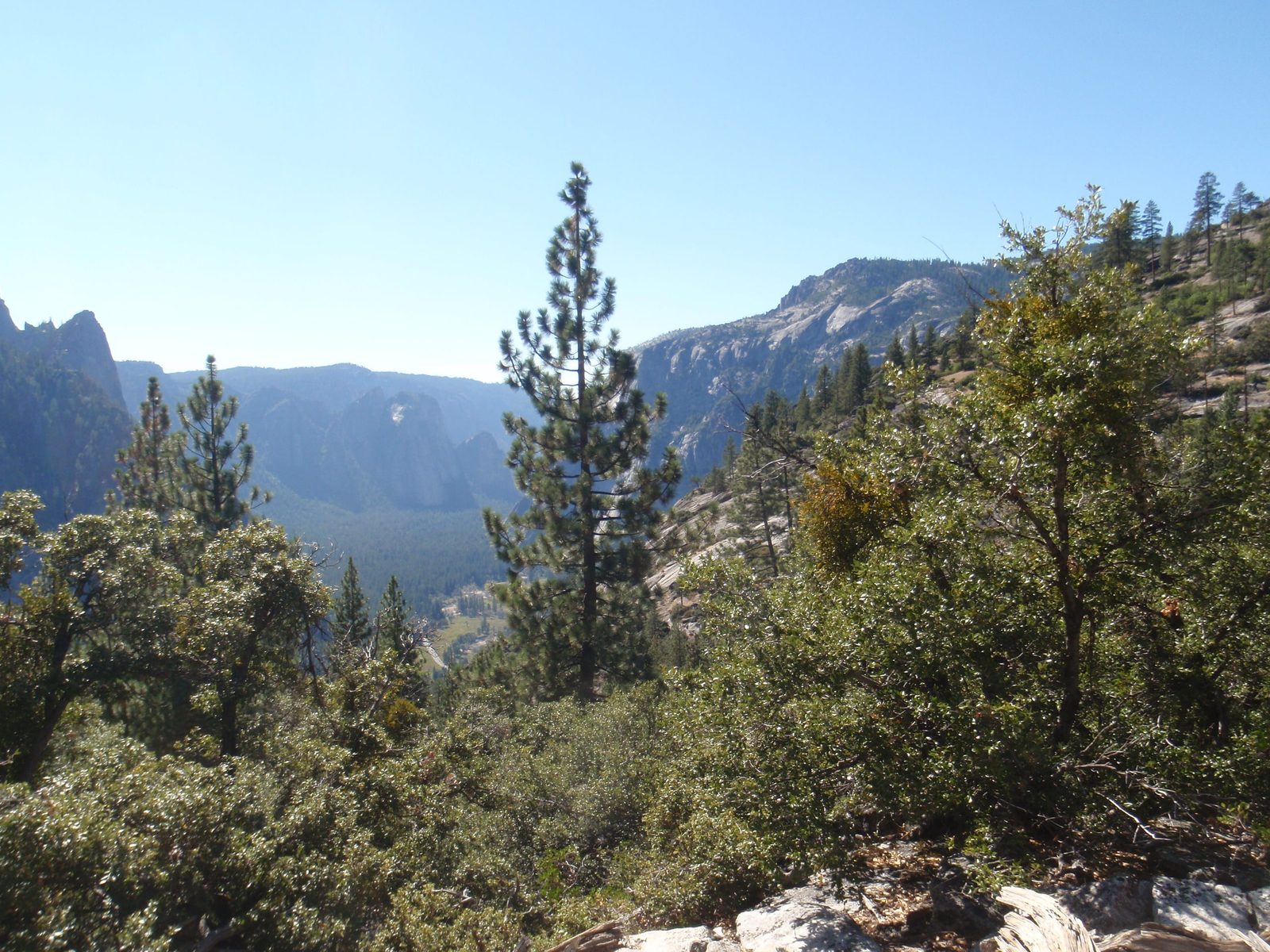 So instead we were treated to great views of the Valley while whacking many a bush and climbing...