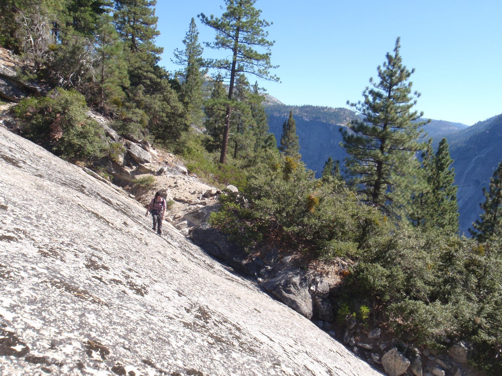 The open granite slabs were a welcome change from the manzanita and live oak and bay that clung...