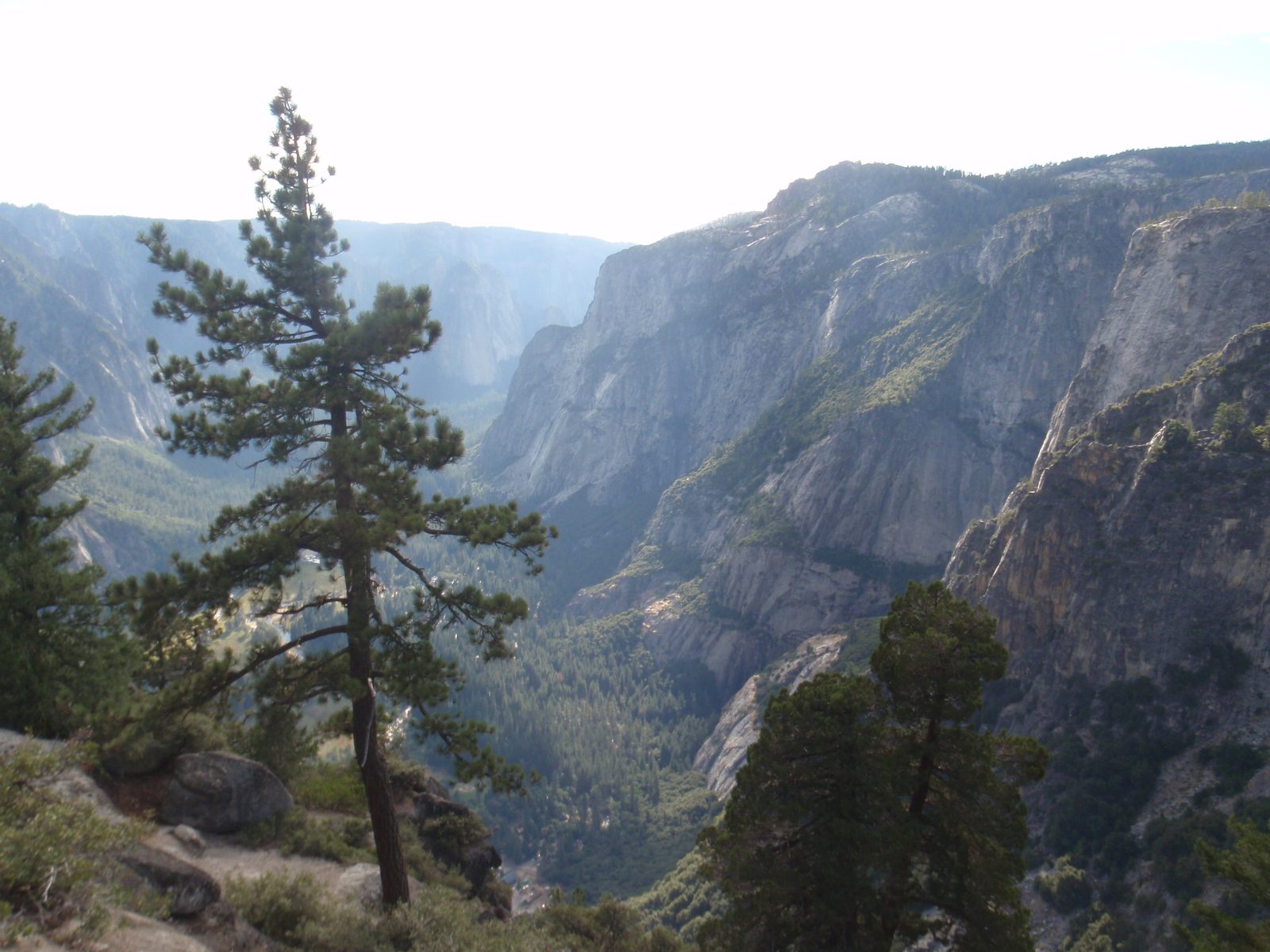 So, I sort of messed up in estimating exactly which direction we should head to hit the trail,...