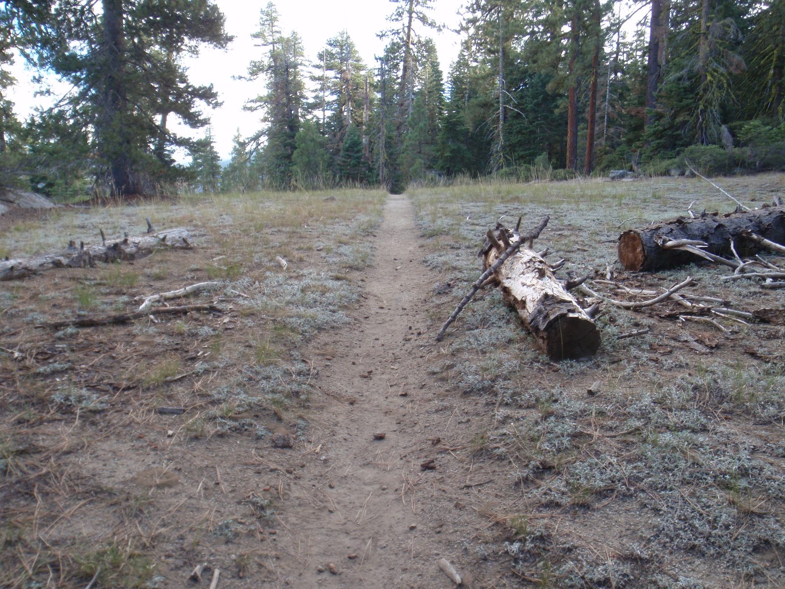 Regaining the park service trail at around 5pm, after starting our hike around 2pm. So my "one...