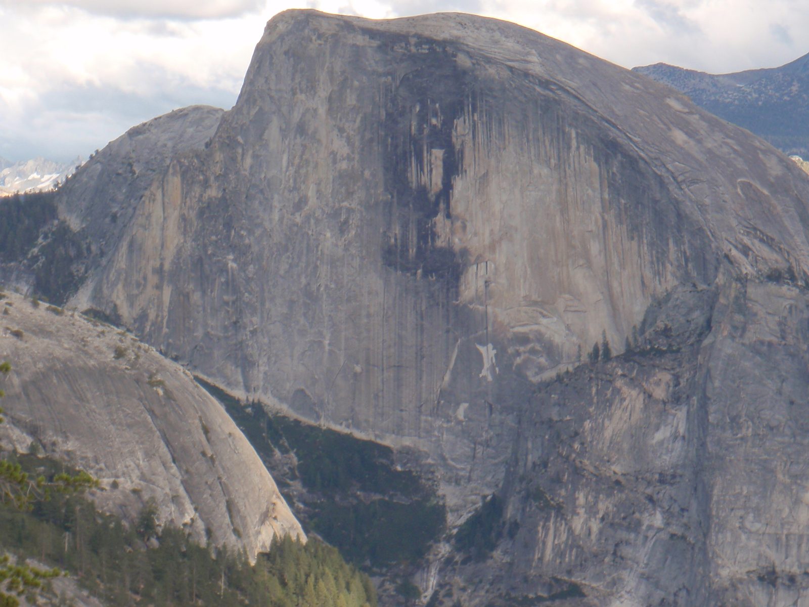 Very zoomed in. 