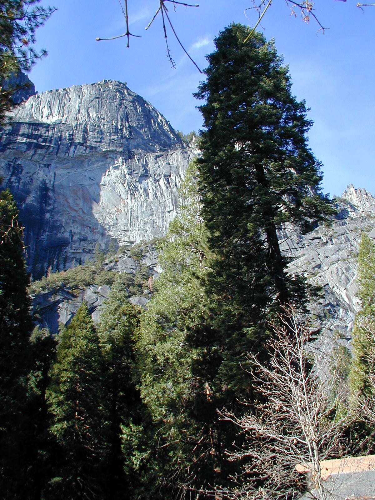 Glacier Point viewed from Curry Village.